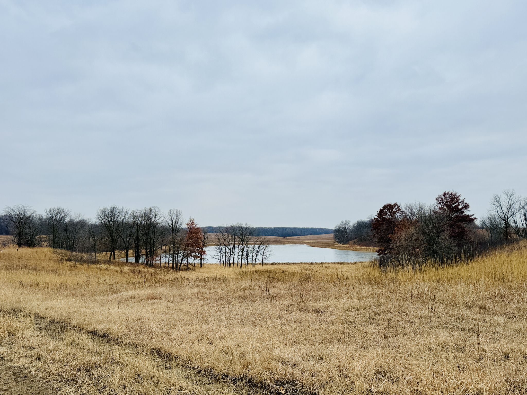 A calm lake surrounded by dry grass and bare trees under a cloudy sky. - South Twin Lake – Crow-Hassan Park Reserve loop from Vehicle with Trailer Parking