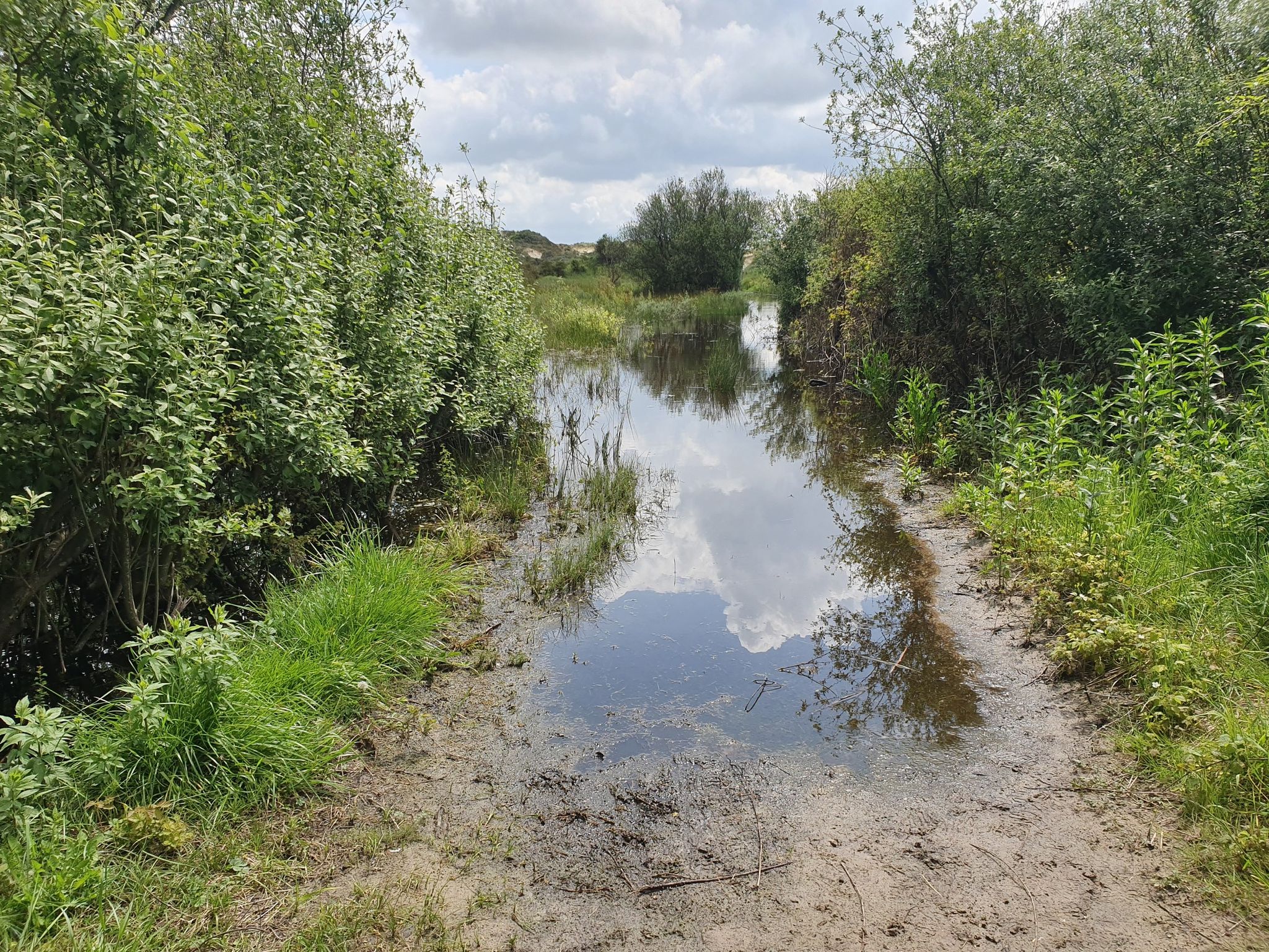 Ende wegen Überschwemmung
