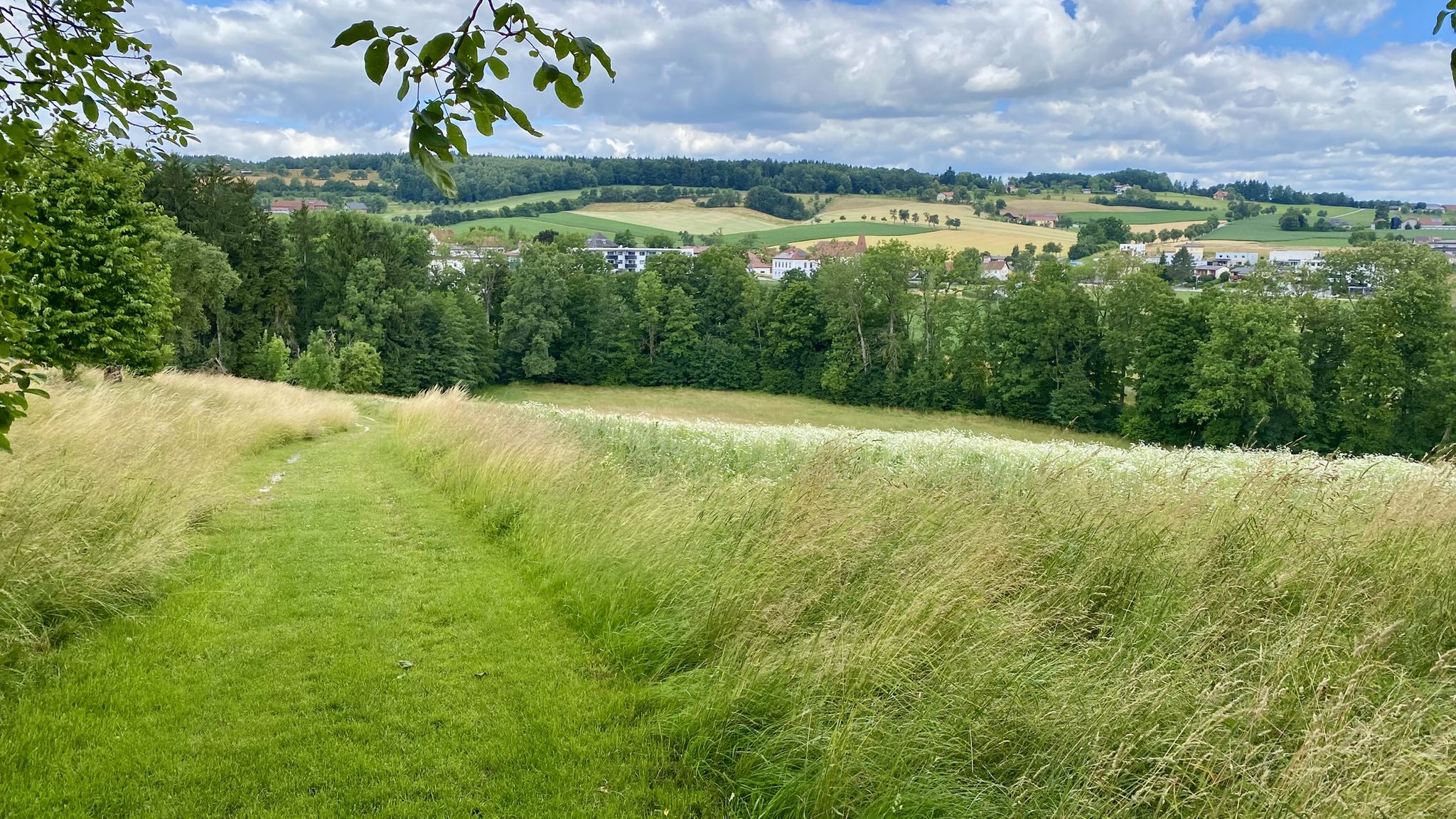 Wiesenabfahrt Pollham