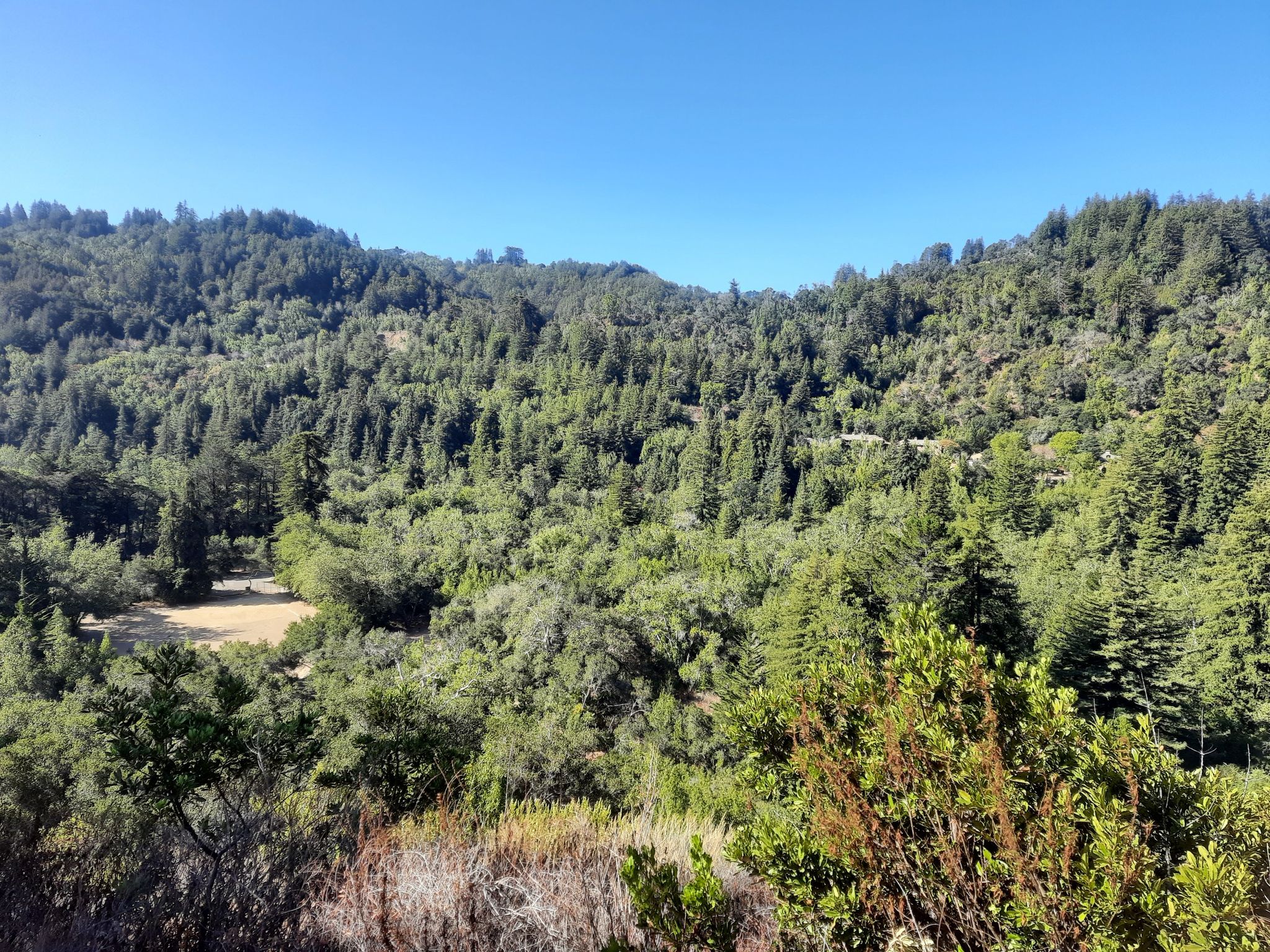 Dense green forest covers rolling hills under a clear blue sky. - Manuel Peak Trail