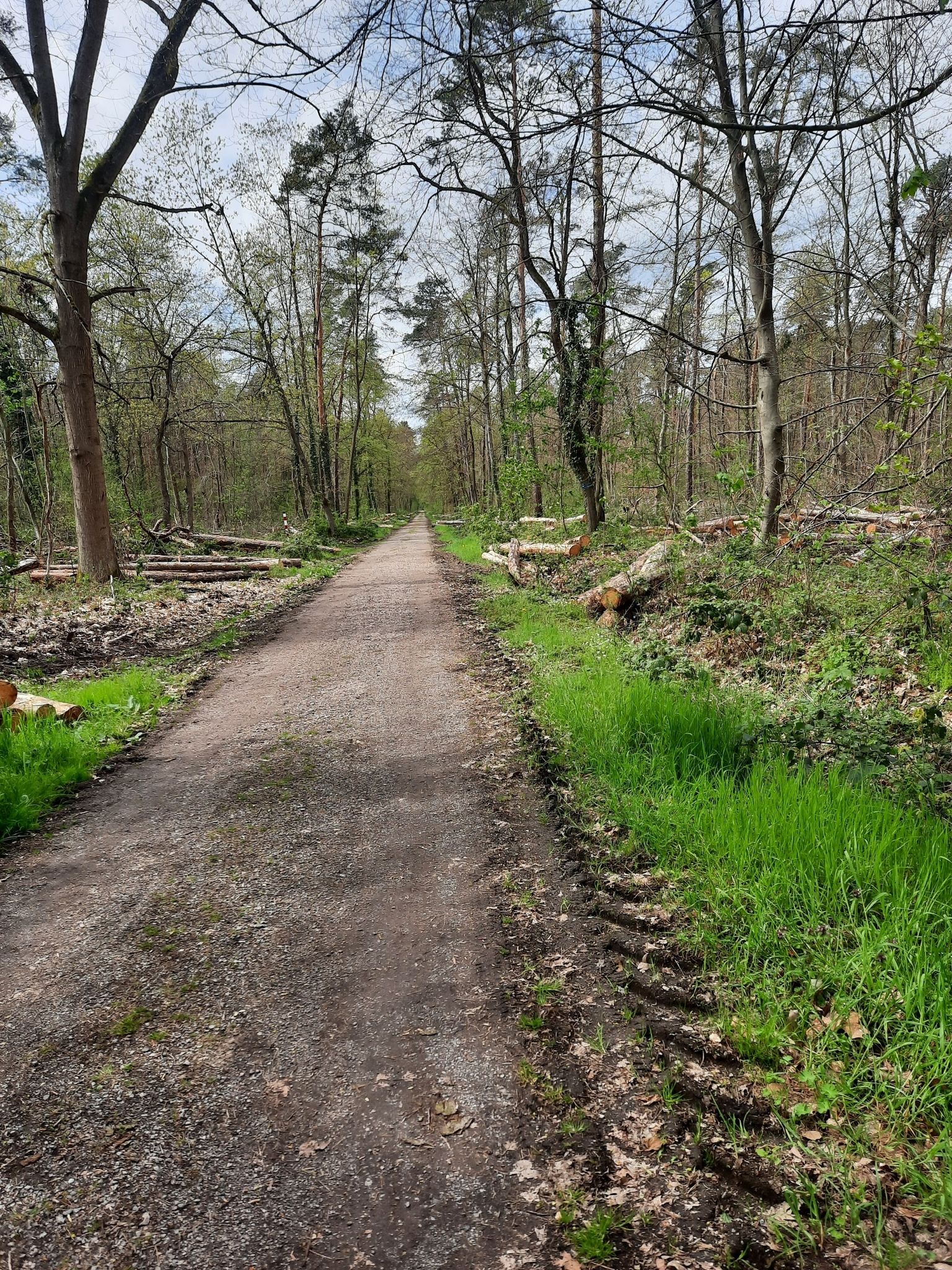 Queichtalradweg von Bellheim nach Knittelsheim