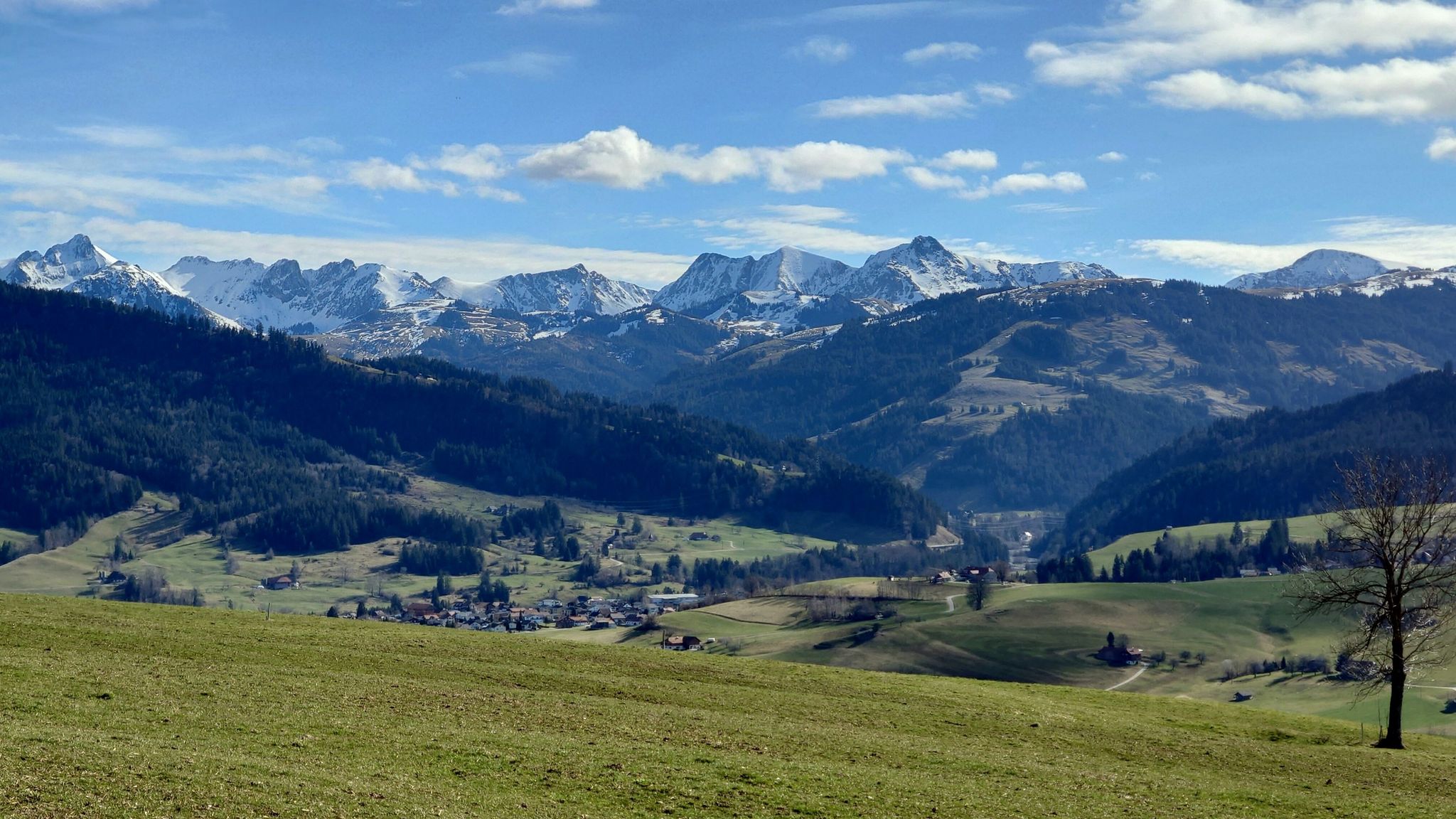 Blick zu den Voralpen. Von links "Ochse" bis rechts "Schafarnisch"