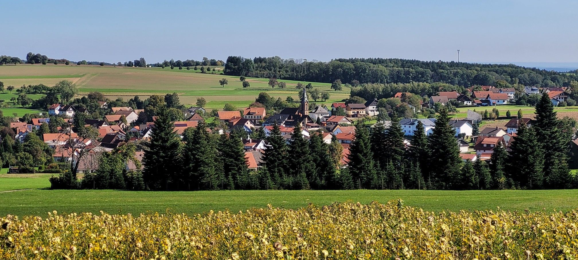 Blick vom Katzenbuckel auf Waldkatzenbach