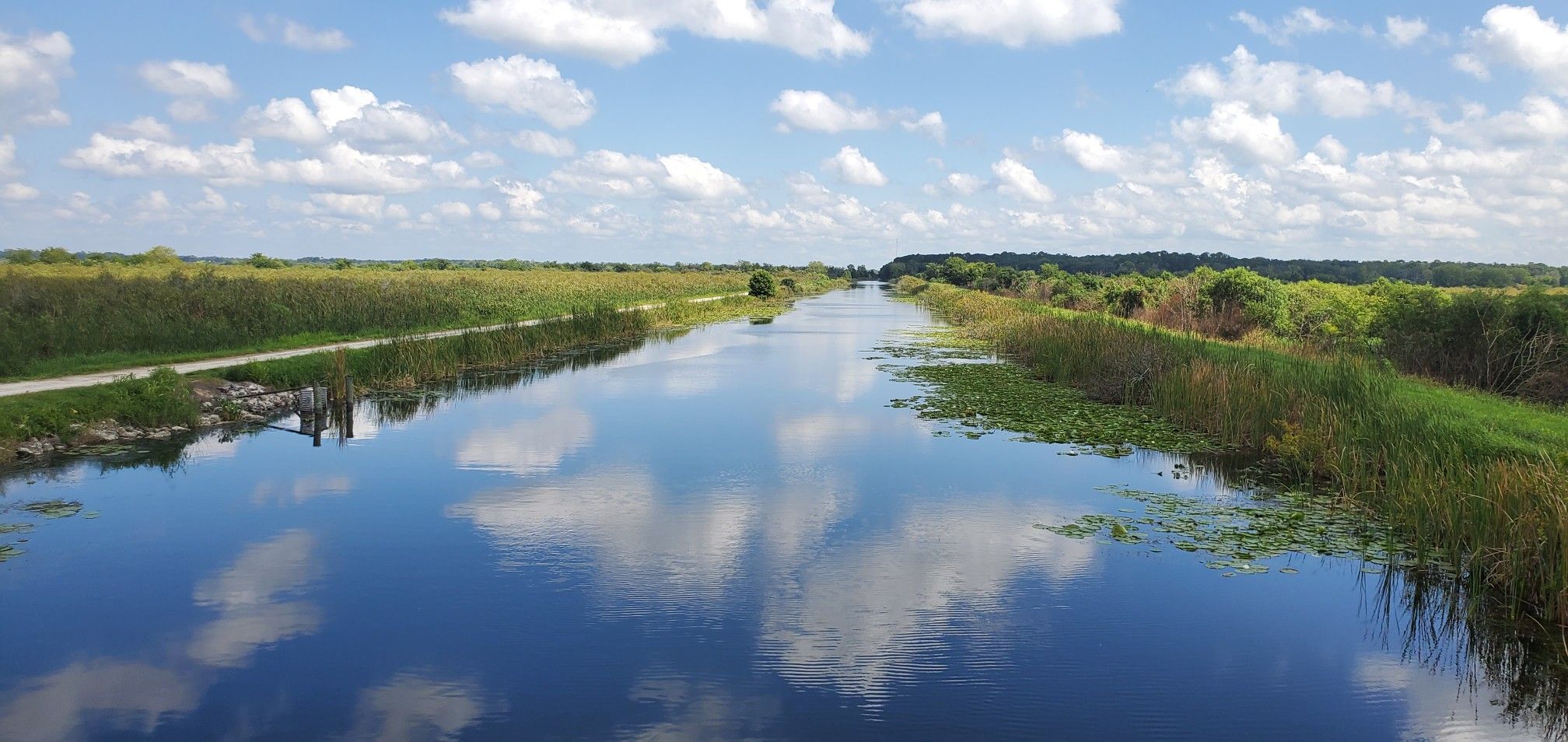 A wide canal reflects clouds, surrounded by green and brown vegetation. - Lake Apopka Loop Trail