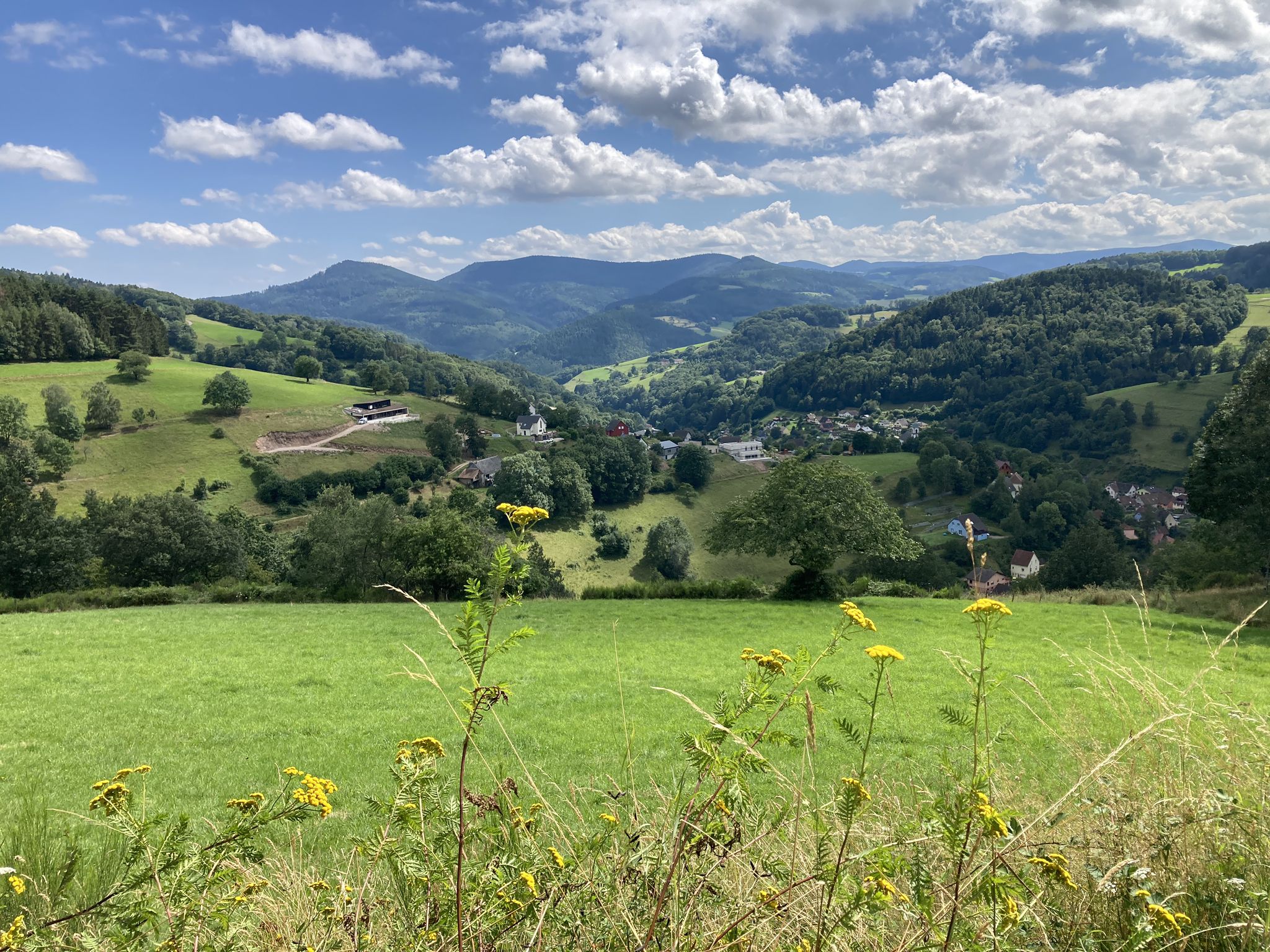 Blick auf Freland