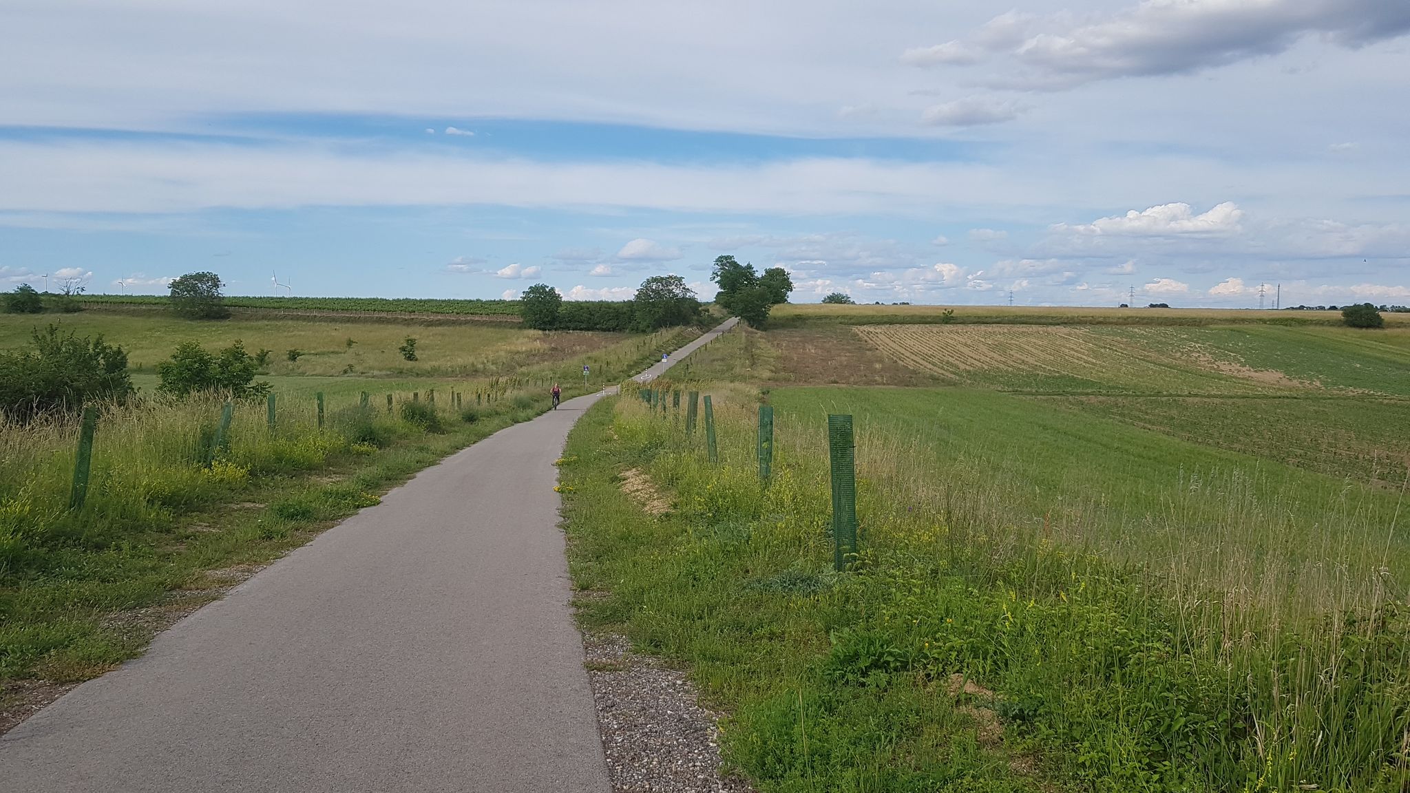 Radweg auf ehemaliger Bahntrasse Richtung Palterndorf