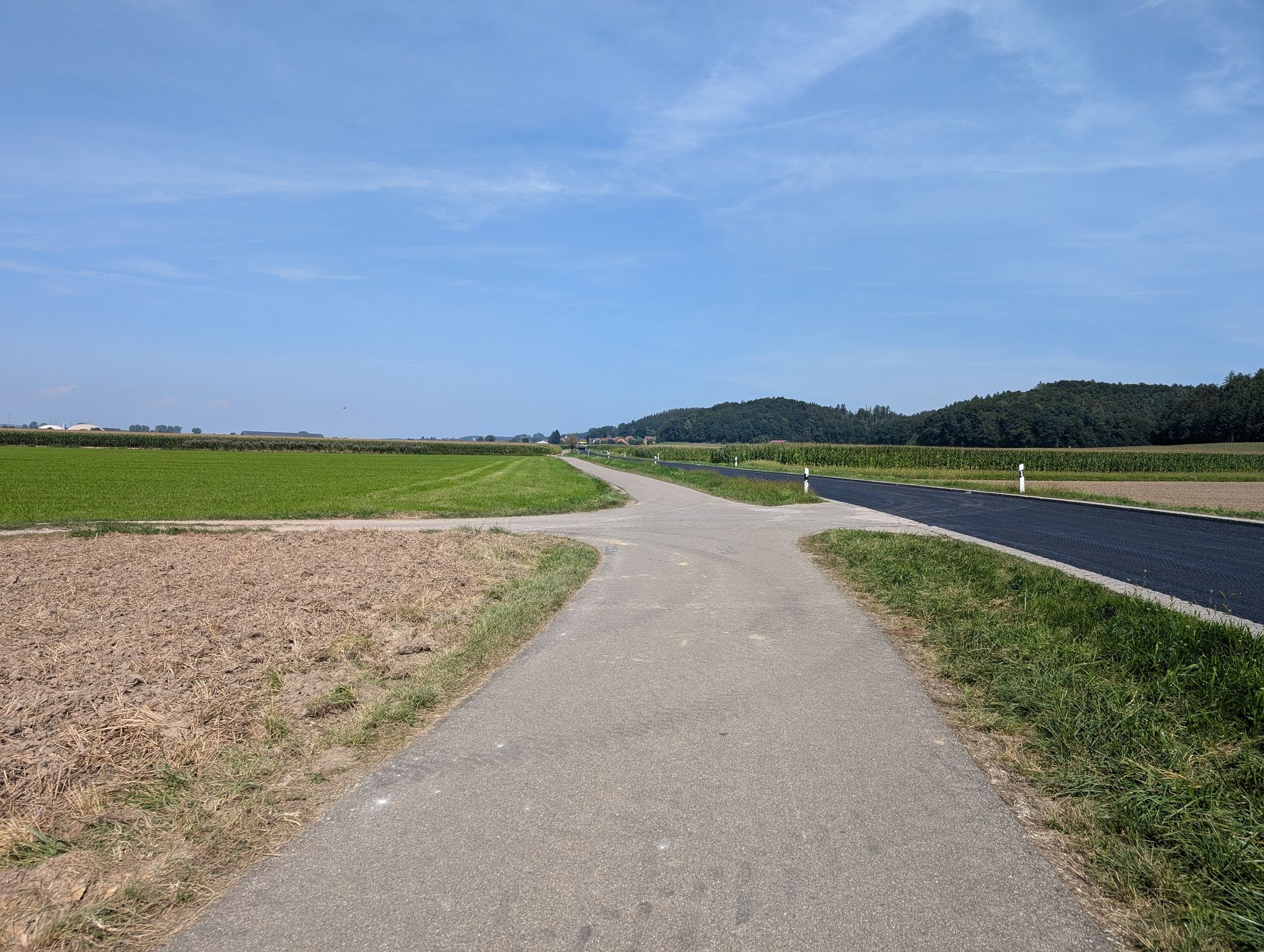 Ha ha! Endlich mal den Autofahrern überlegen. Nur der Radweg ist noch passierbar.