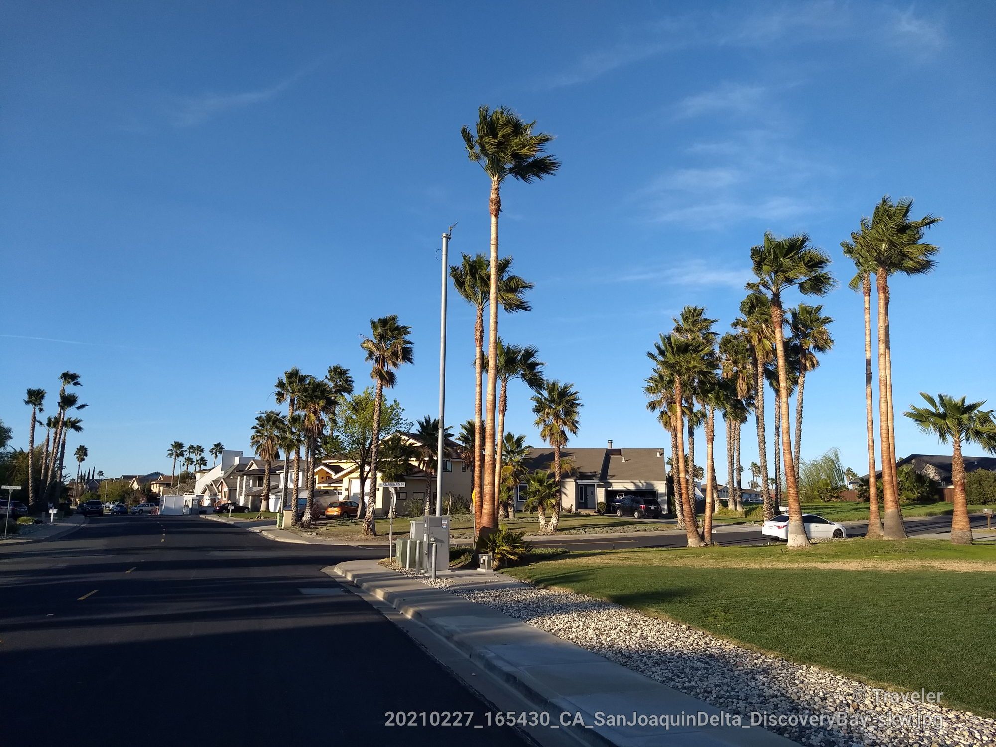 A sunny street lined with tall palm trees and suburban houses. - Running loop from Discovery Bay