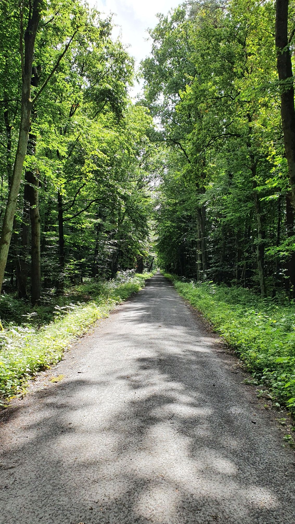 Der Belag zieht sich irgendwie wie Kaugummi