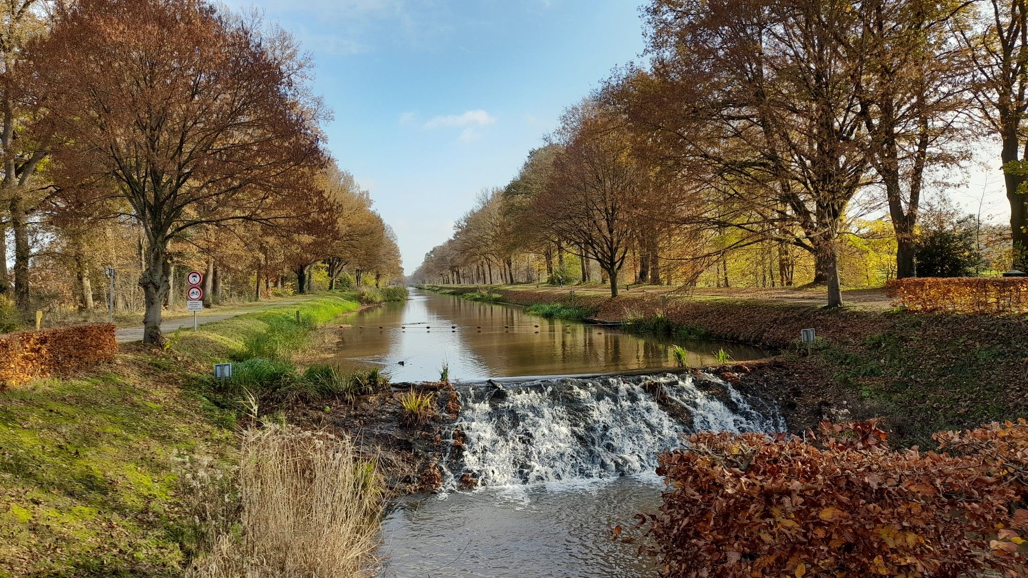 De Pook