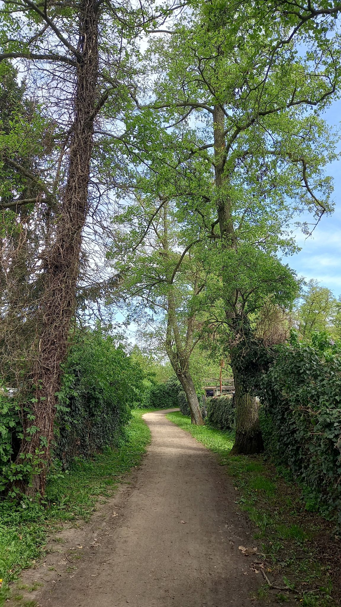 Hier lief früher der Mühlbach