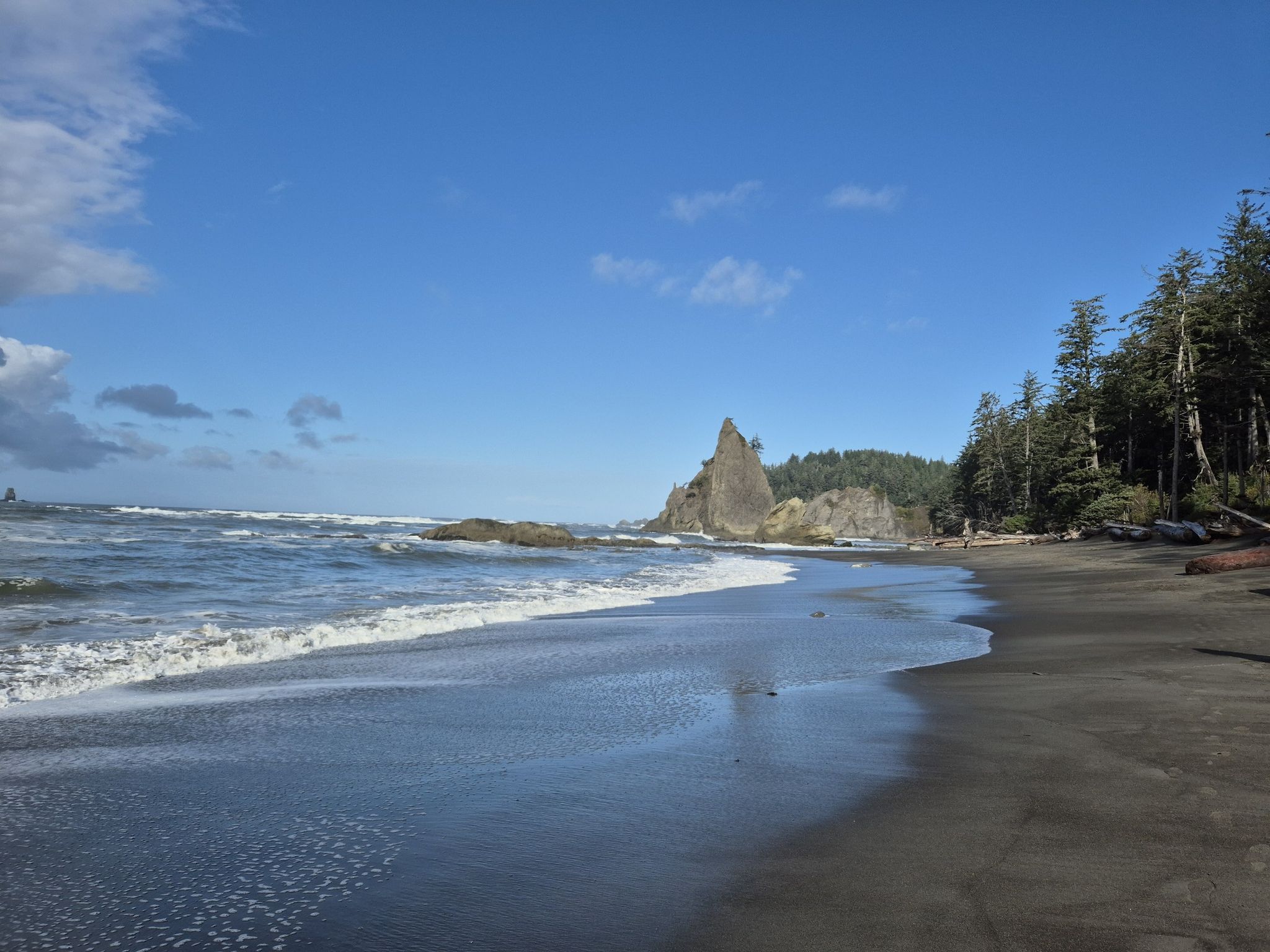 Sunny beach with sea stacks, waves, and a forested coastline. - Hole in the Wall Trail
