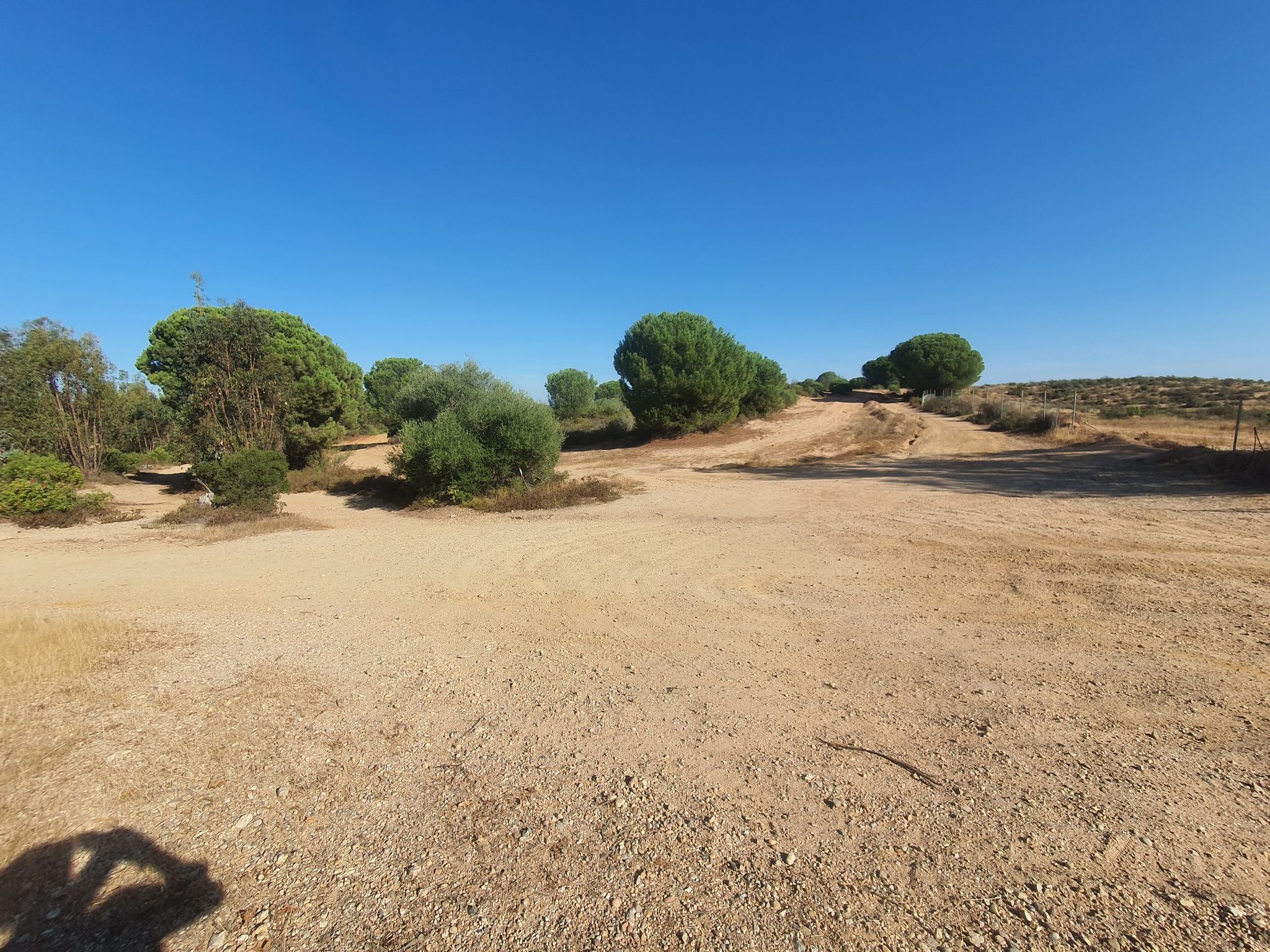 cruce al pinar con camino de Coria