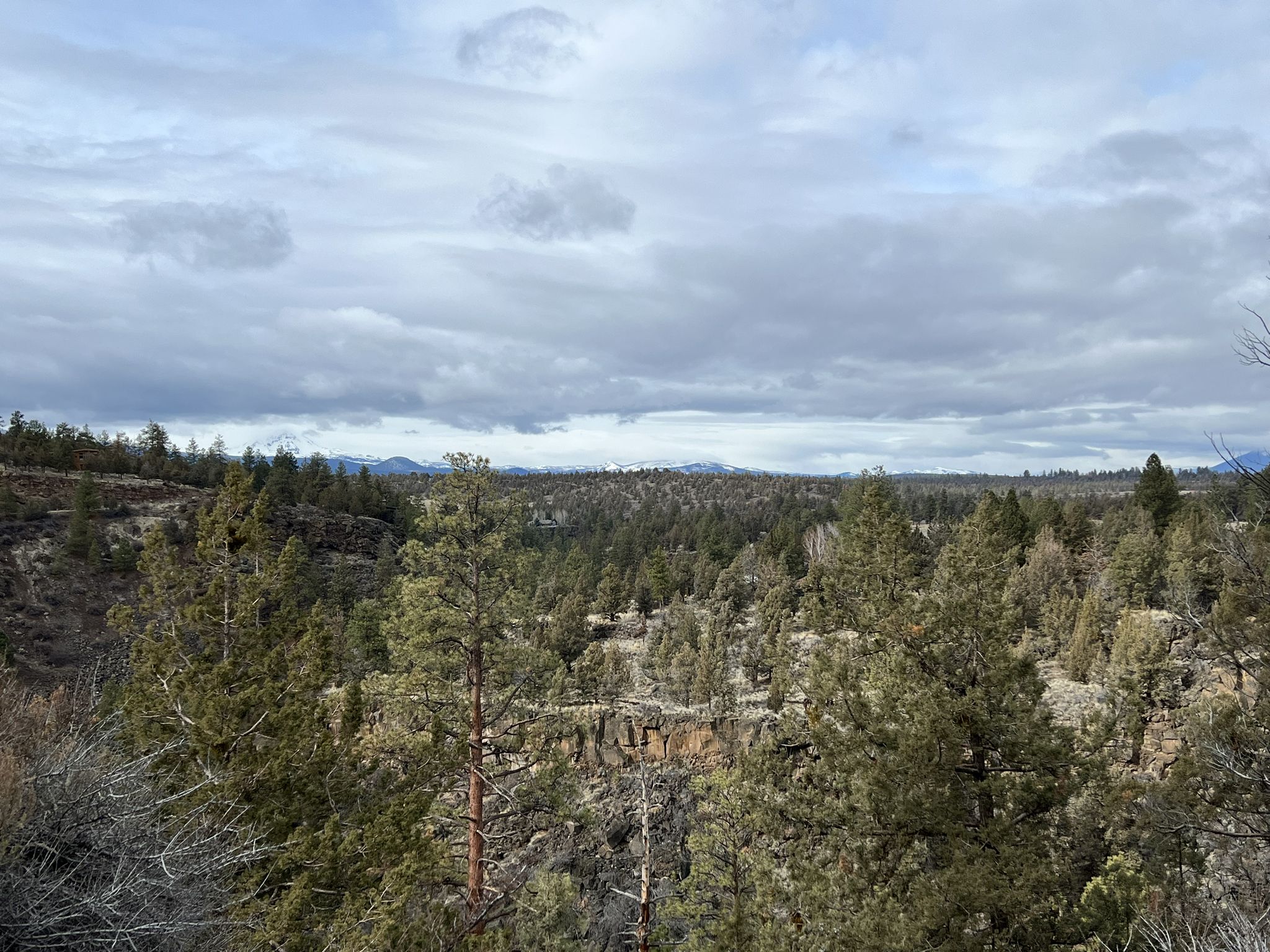 Vast pine forest stretching to distant hills under a cloudy sky. - Deschutes River Trail loop from Archie Briggs Canyon Natural Area