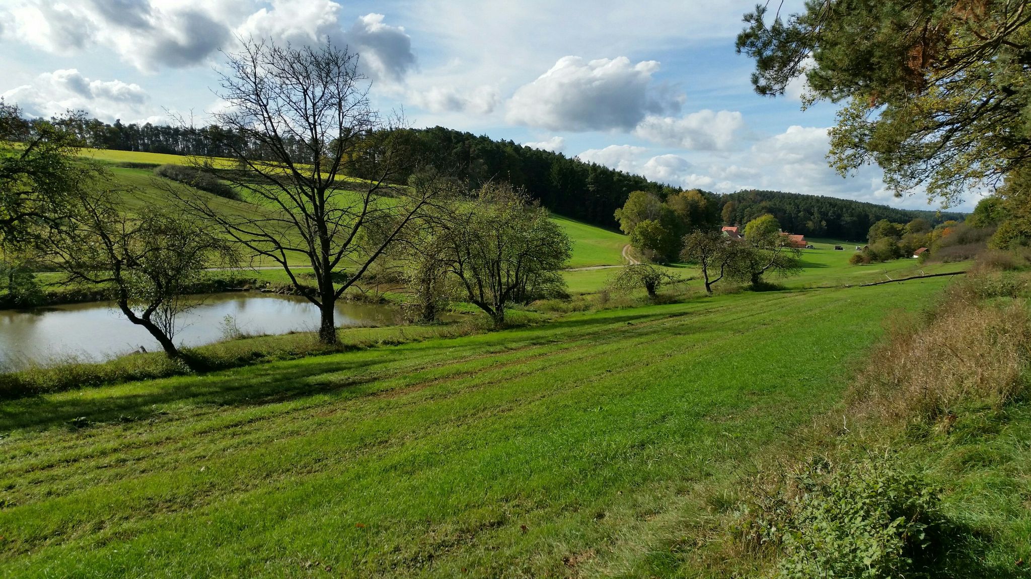 Bachgrund Clarsbacher Bächlein