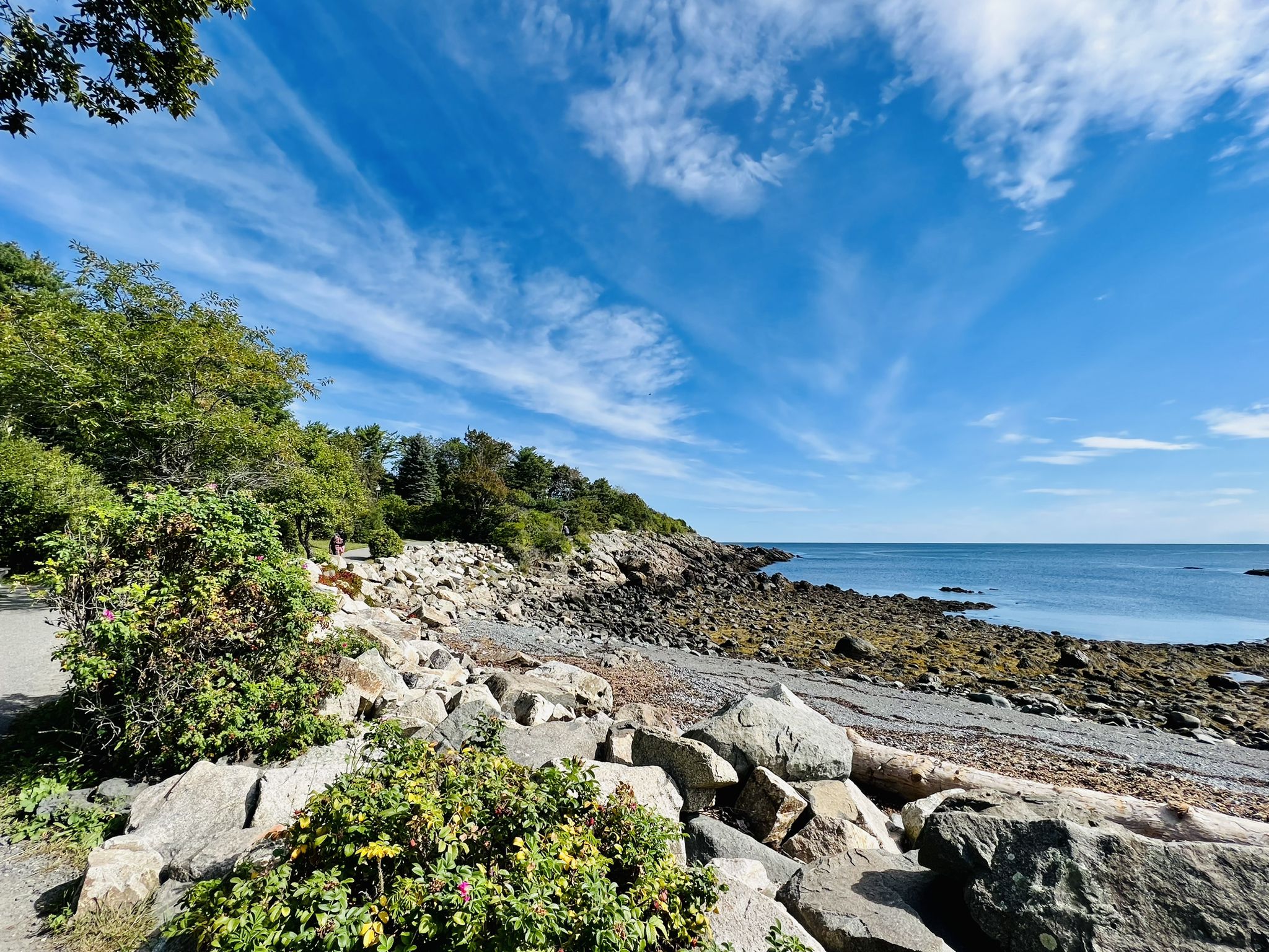 Rocky coastline with green trees, calm ocean, and bright blue sky. - Marginal Way