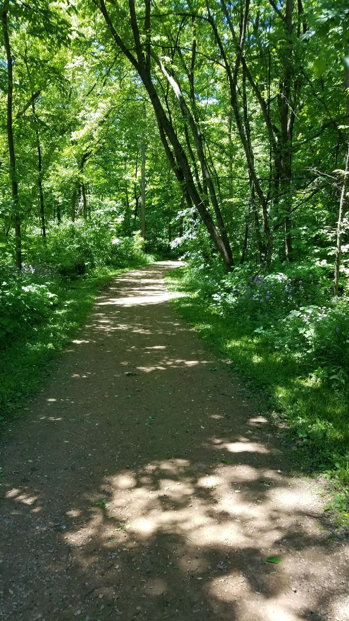finally on the trail
