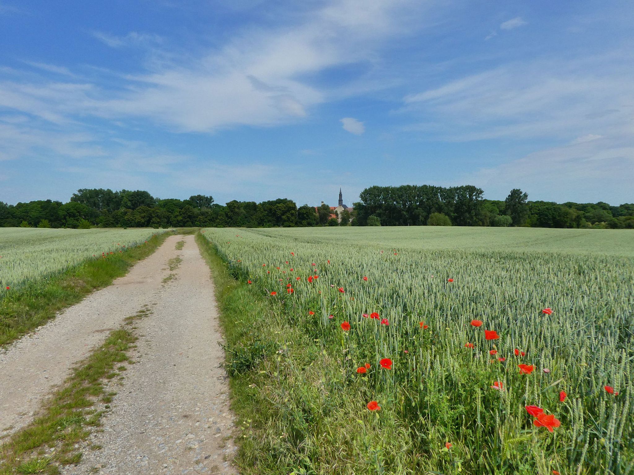 Piste nach Adersleben