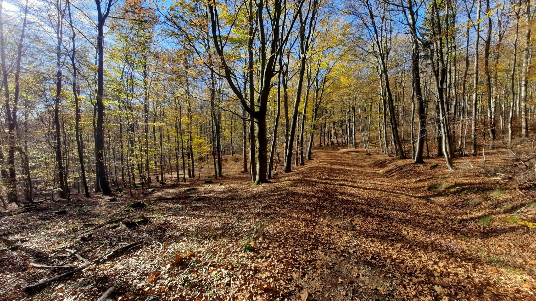 Radweg "Soonwald-Nahe-Tour"
