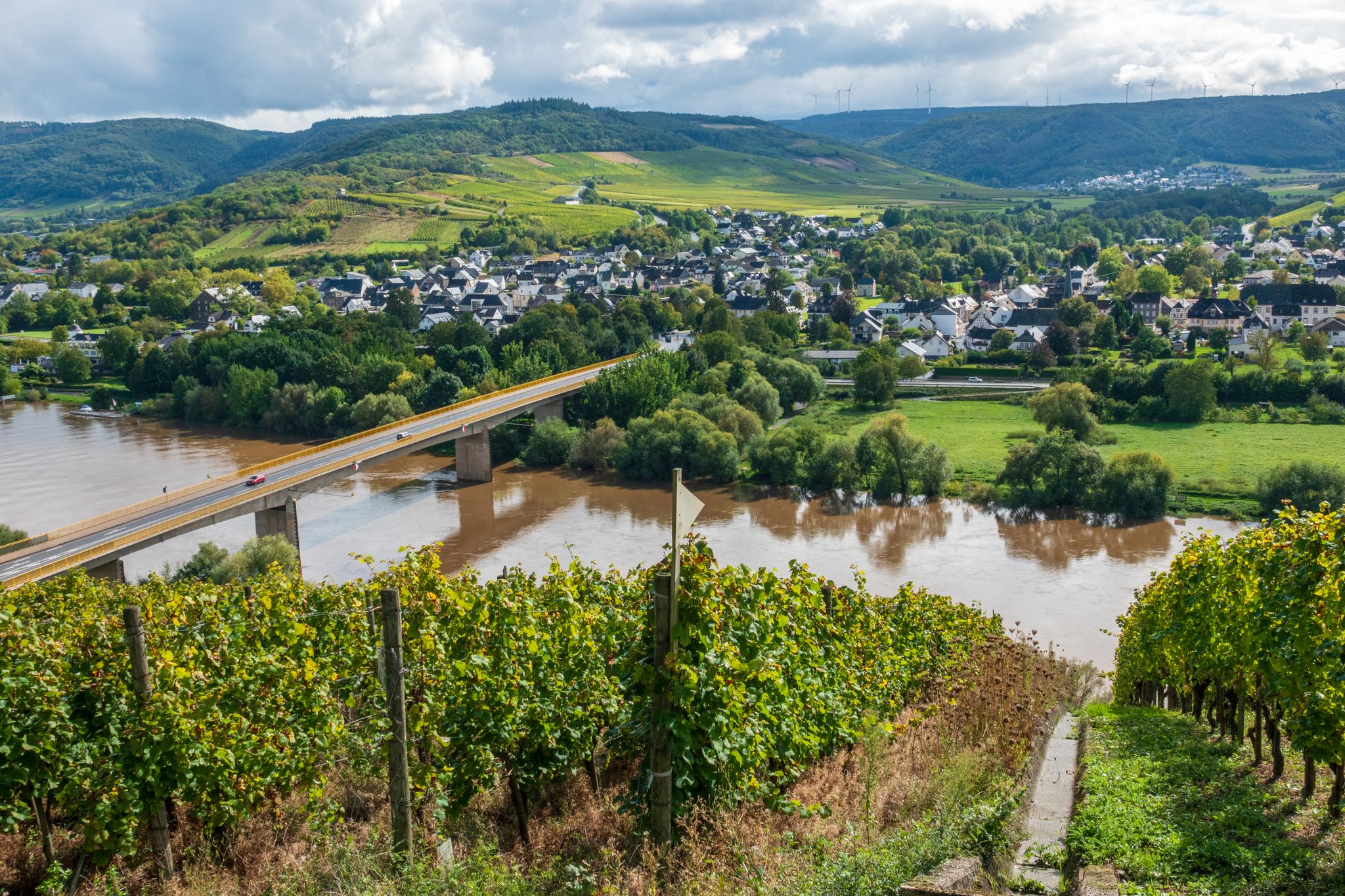 Blick von den Weinbergen runter zur Mosel
