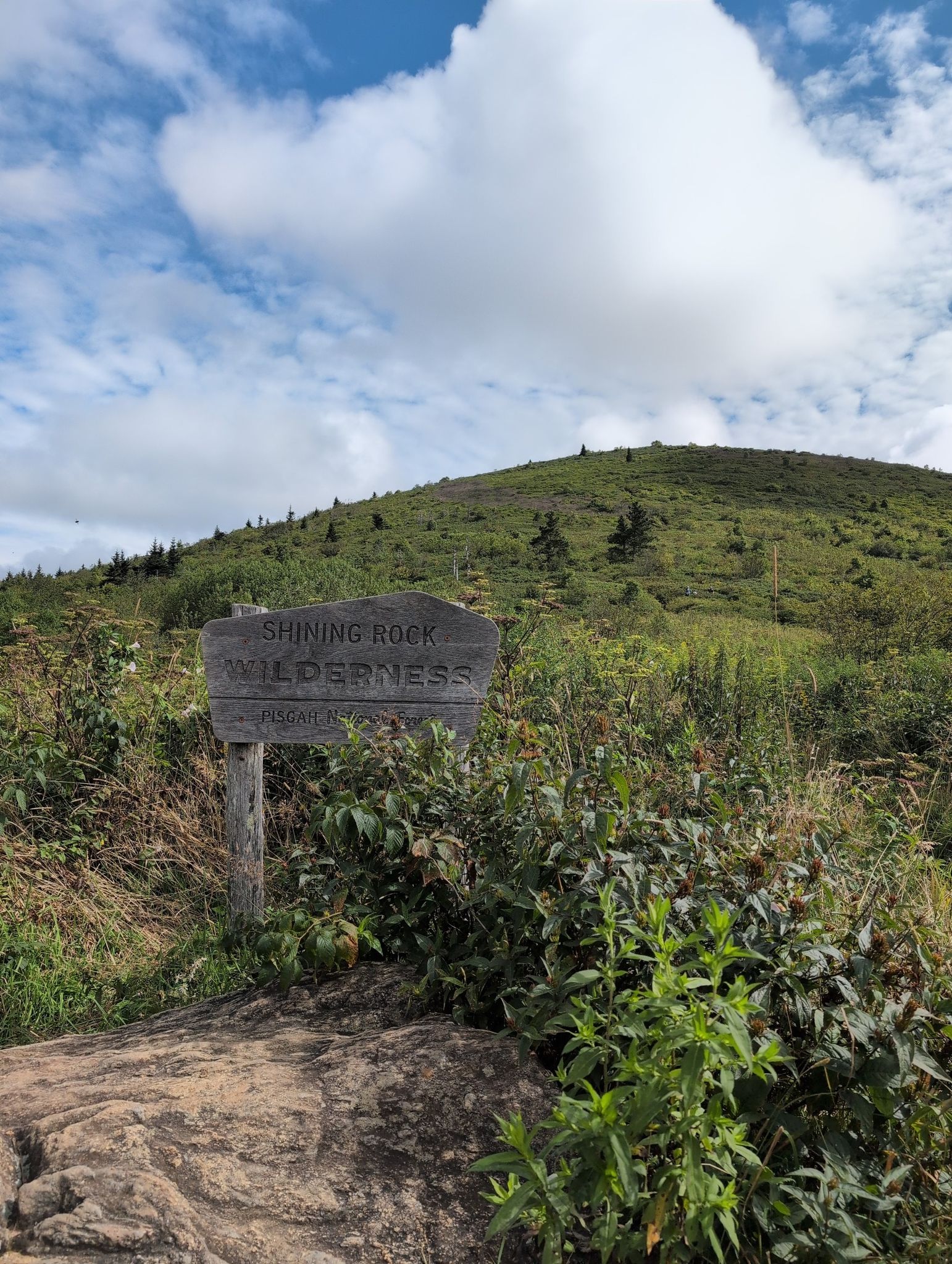 Wooden sign on a rocky path leading up a grassy hill under a cloudy sky. - Ivestor Gap Trail