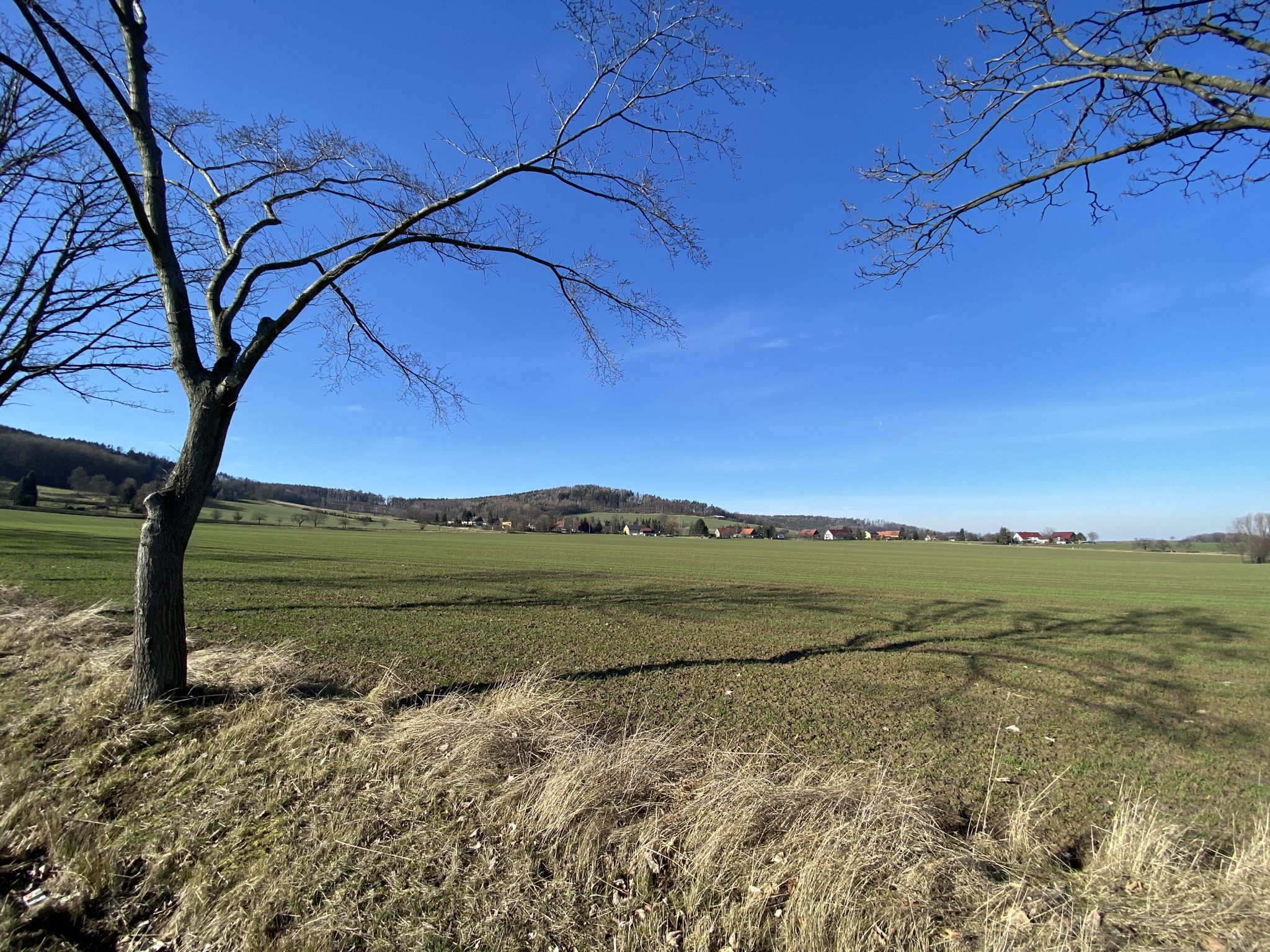 Blick zum Kälberberg