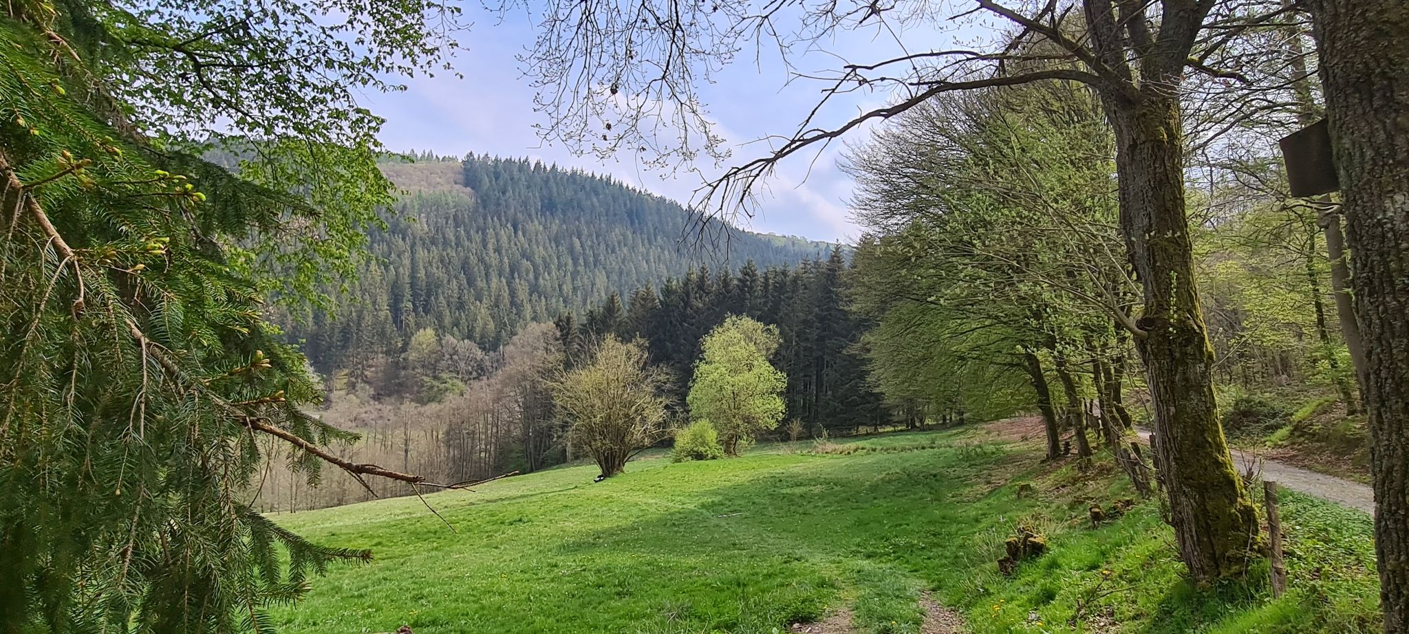 Bald in Widdau