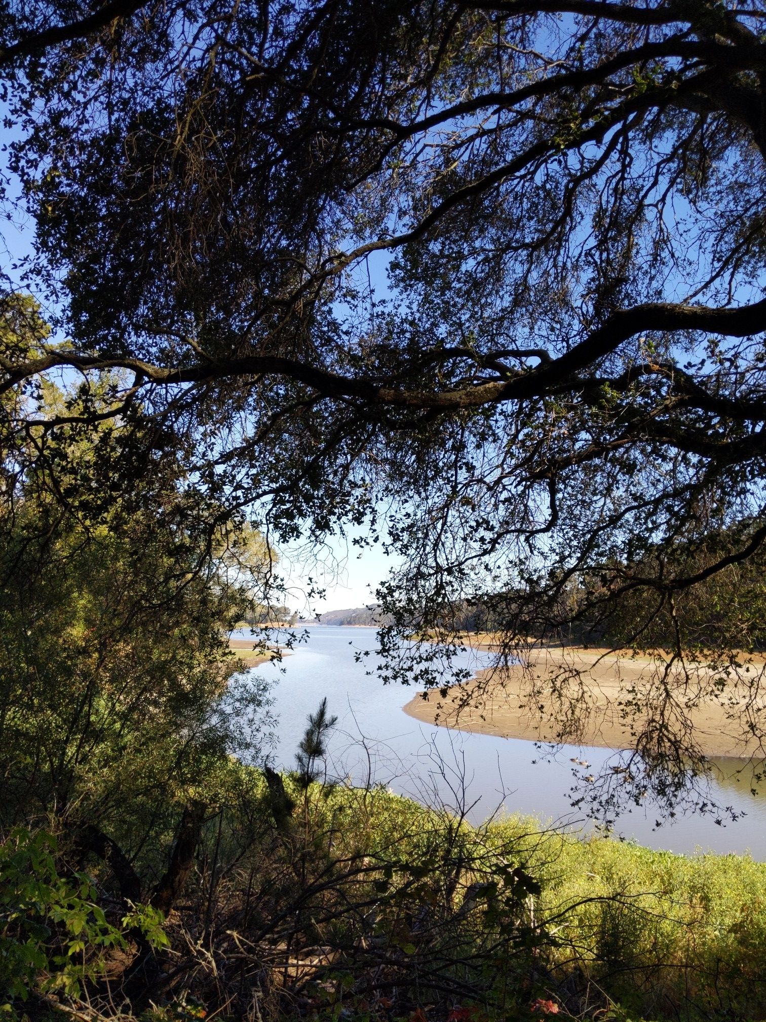 A body of water seen through dark tree branches on a sunny day. - Oursan, Old San Pablo, and Inspiration Trail Loop