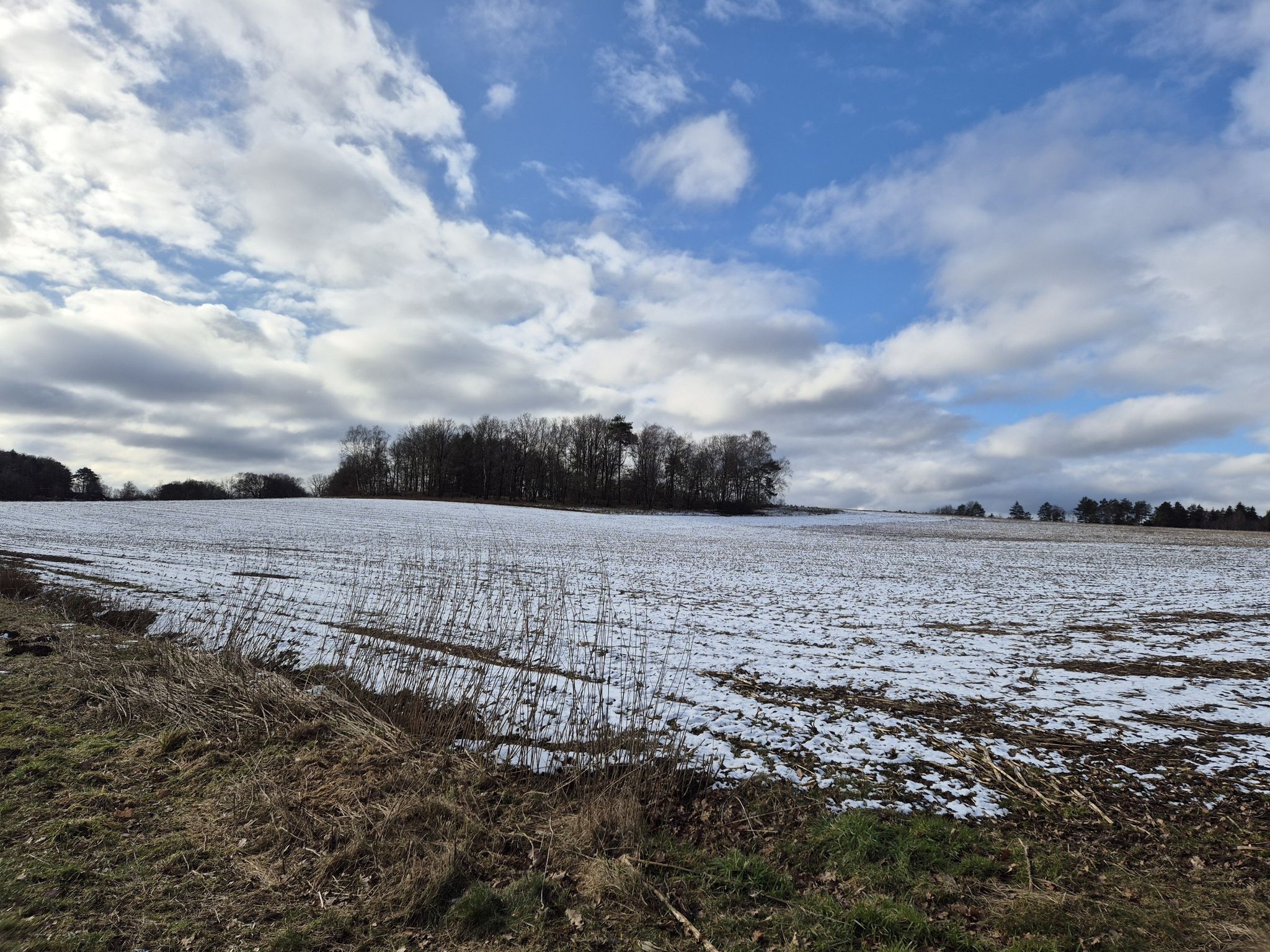 irgendwo in der eisigen Landschaft bei Asendorf!
