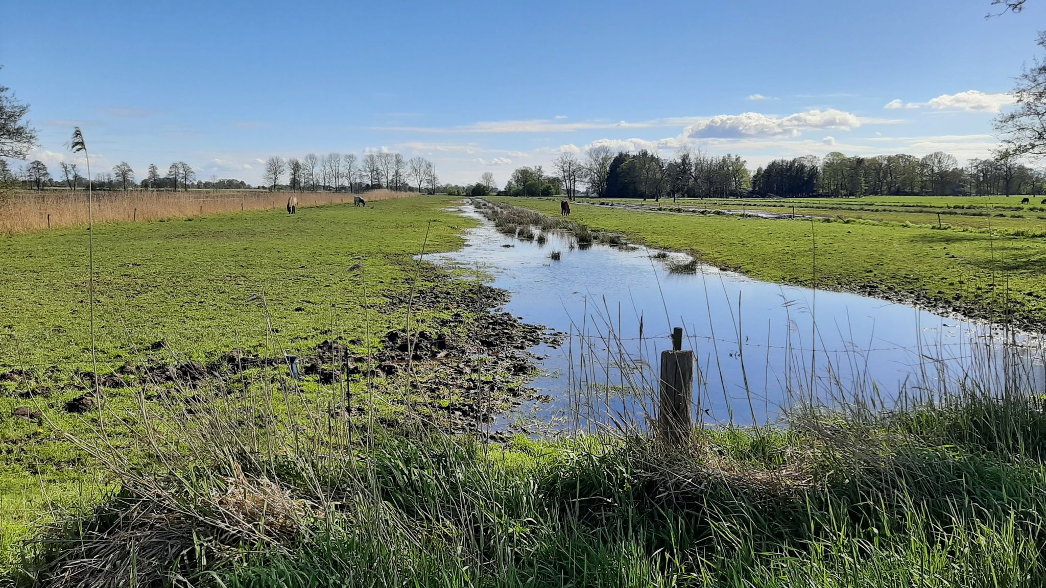 Auch auf den Feldern steht noch das Wasser.