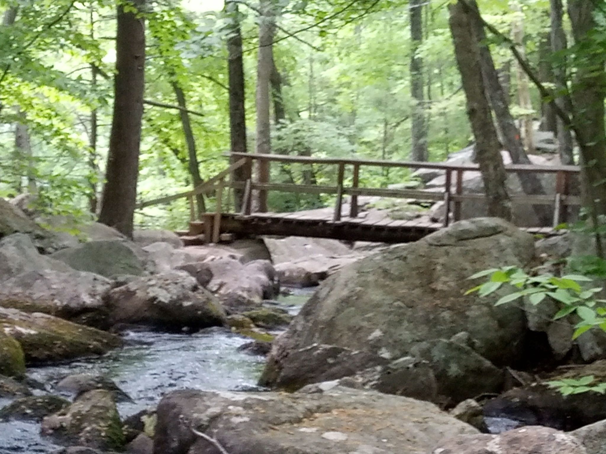 Rustic wooden bridge spans a rocky stream in a lush, green forest. - Stony Brook Trail loop from Reeves Meadow Visitors Center