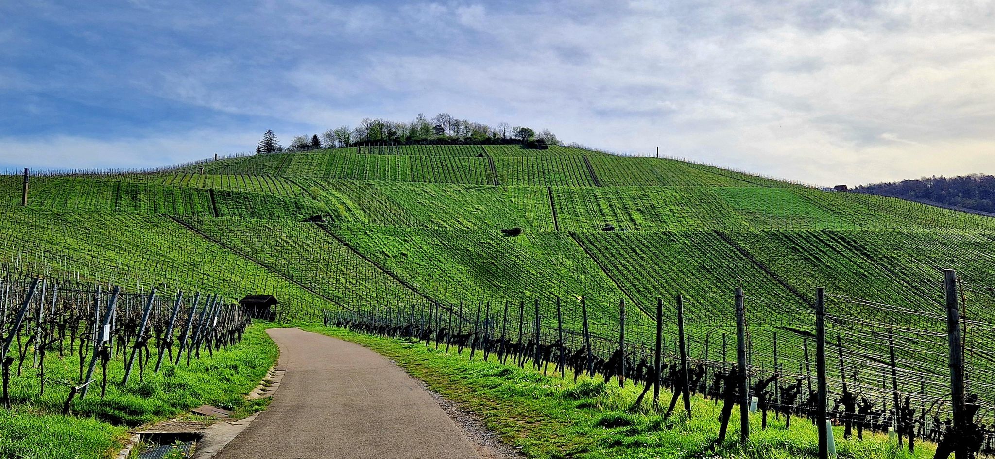 Der Kappelberg
