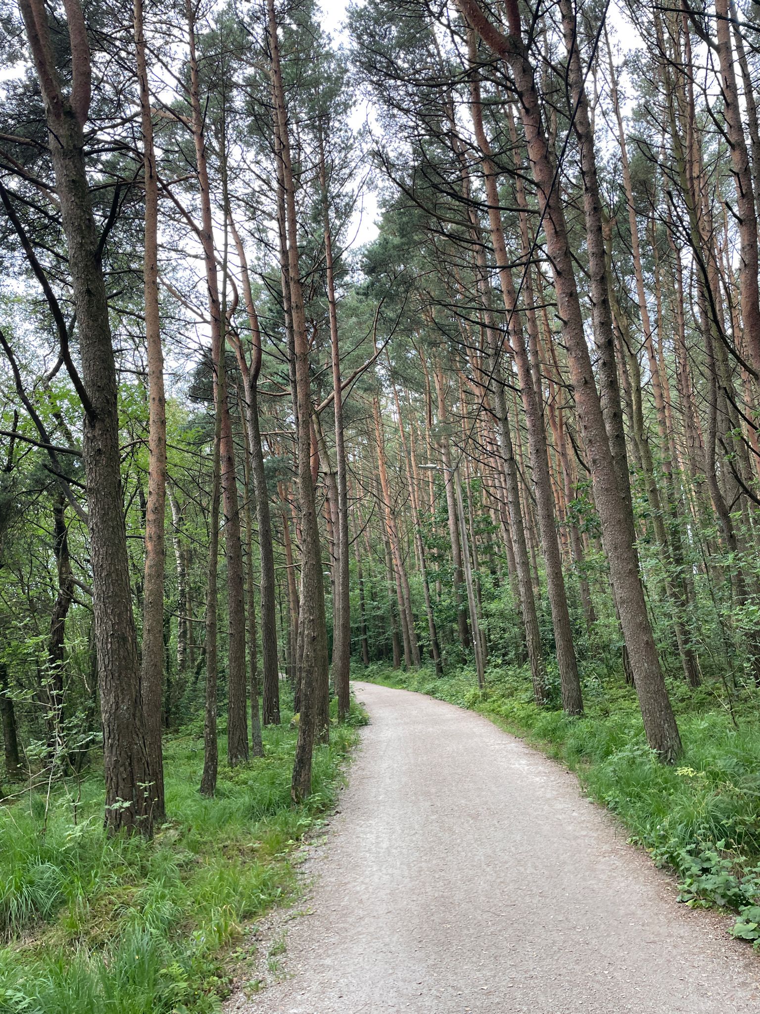 Schoner Uferweg