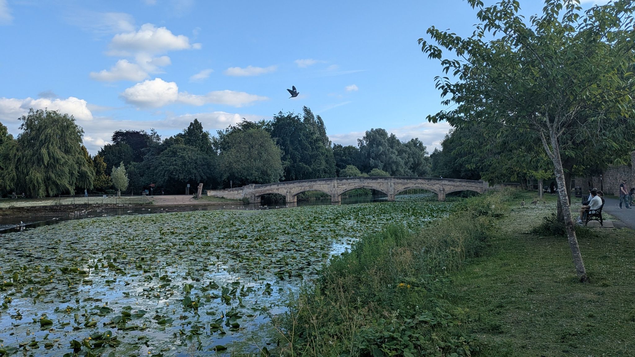 Bridge into Abbey park