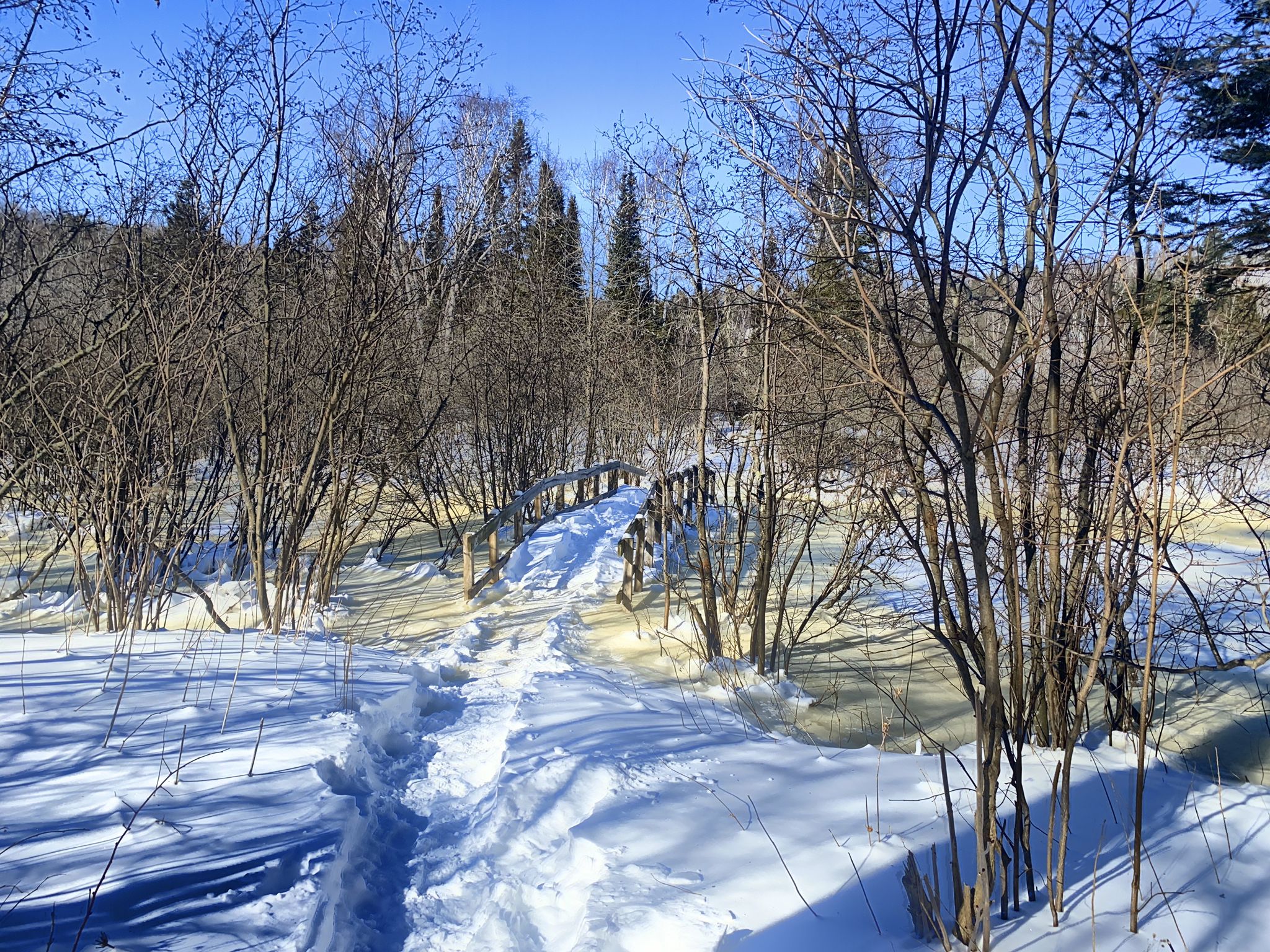 Snowy path leads to a wooden bridge over a frozen stream in winter. - Gooseberry Falls – Fifth Falls loop from Gooseberry Falls State Park