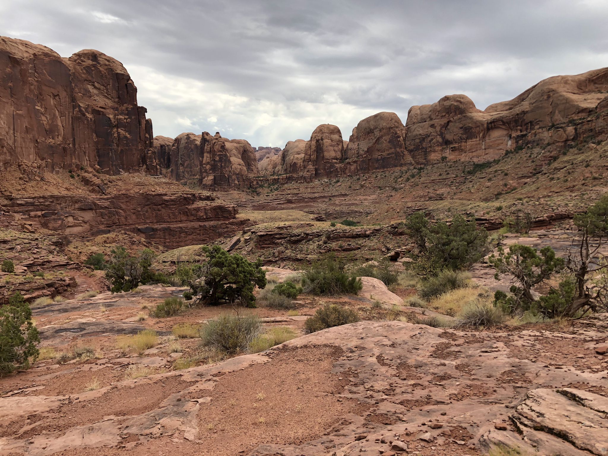 Rocky desert landscape with distant mesas under an overcast sky. - Viewpoint on HyMasa Trail – HyMasa loop from Amasa Back