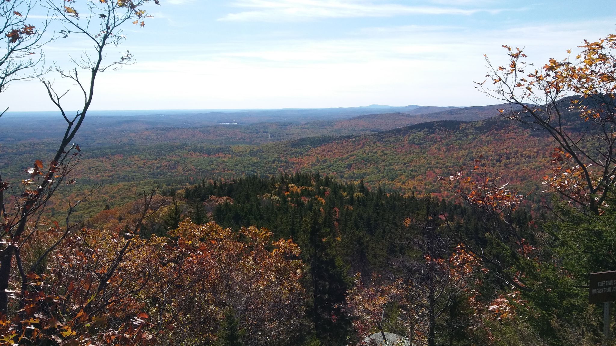 Autumn forest panorama with distant hills under a bright, hazy sky. - Ted's Trail