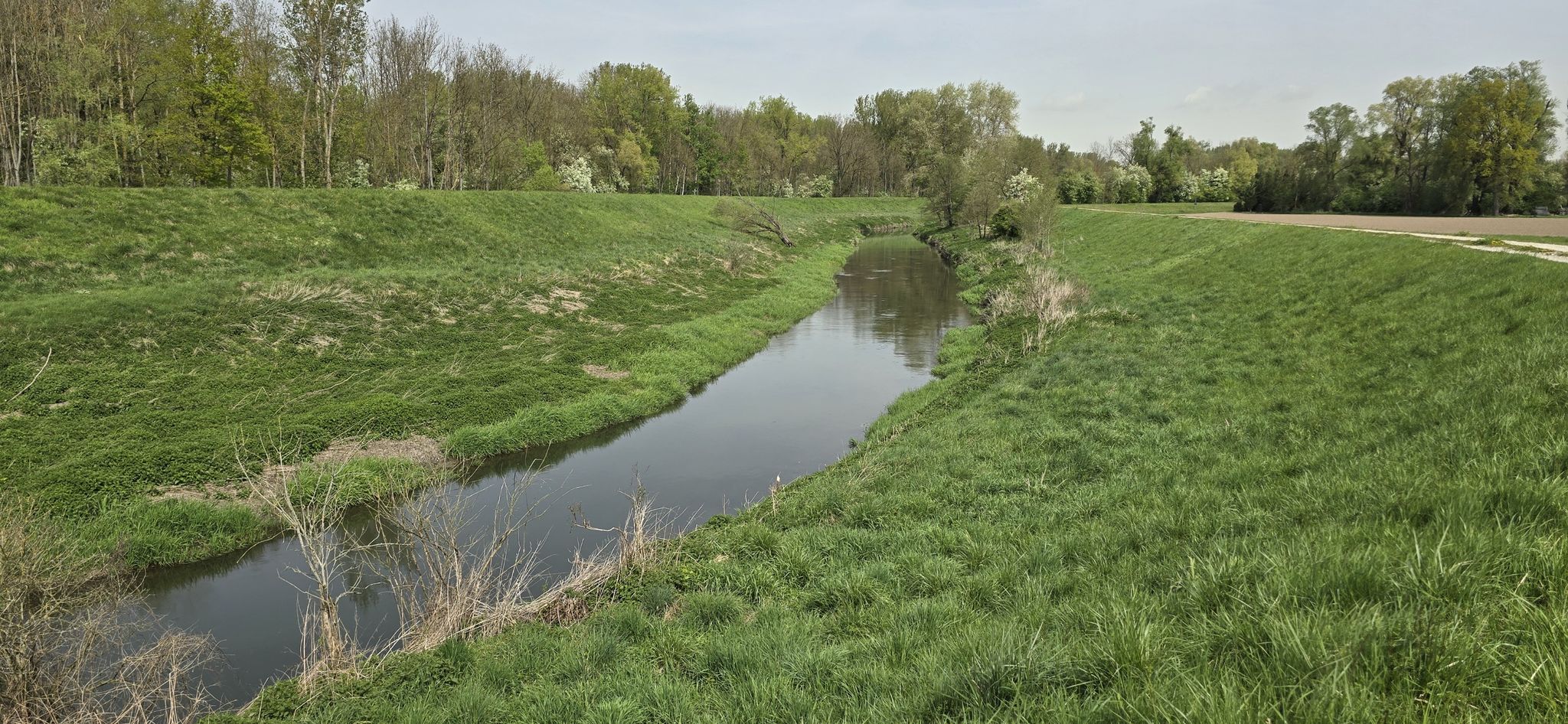Die Ilm bei Vohburg