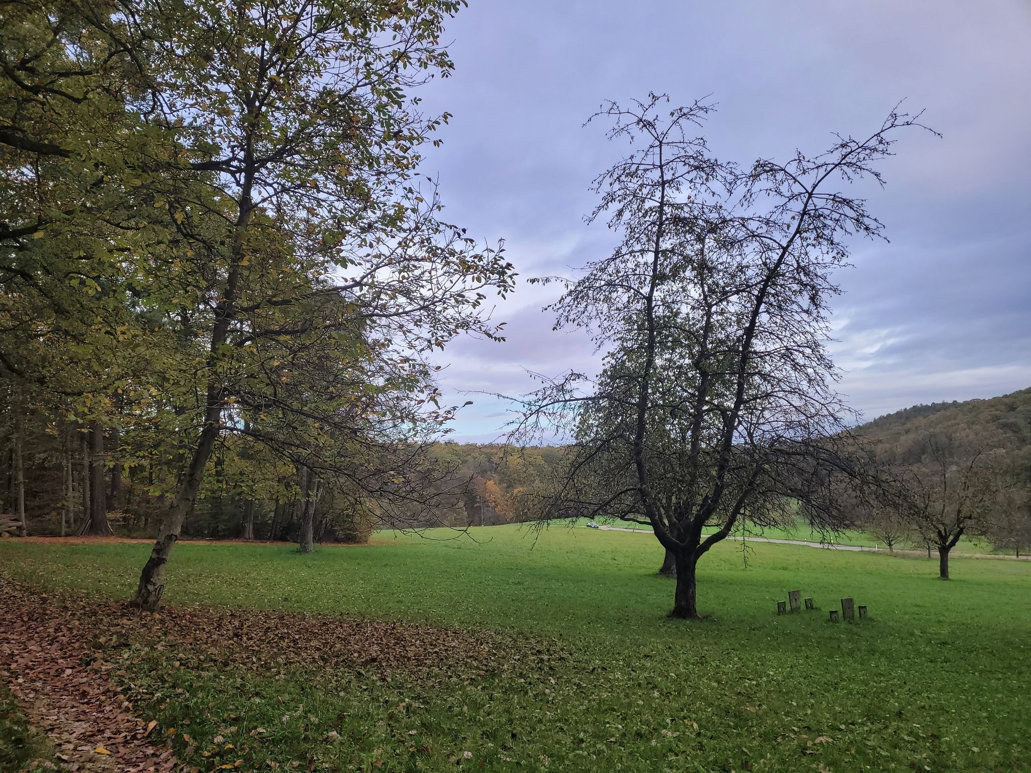 calm ... lovely place 🧡💛💚💙💜🤎🖤🤍❤️