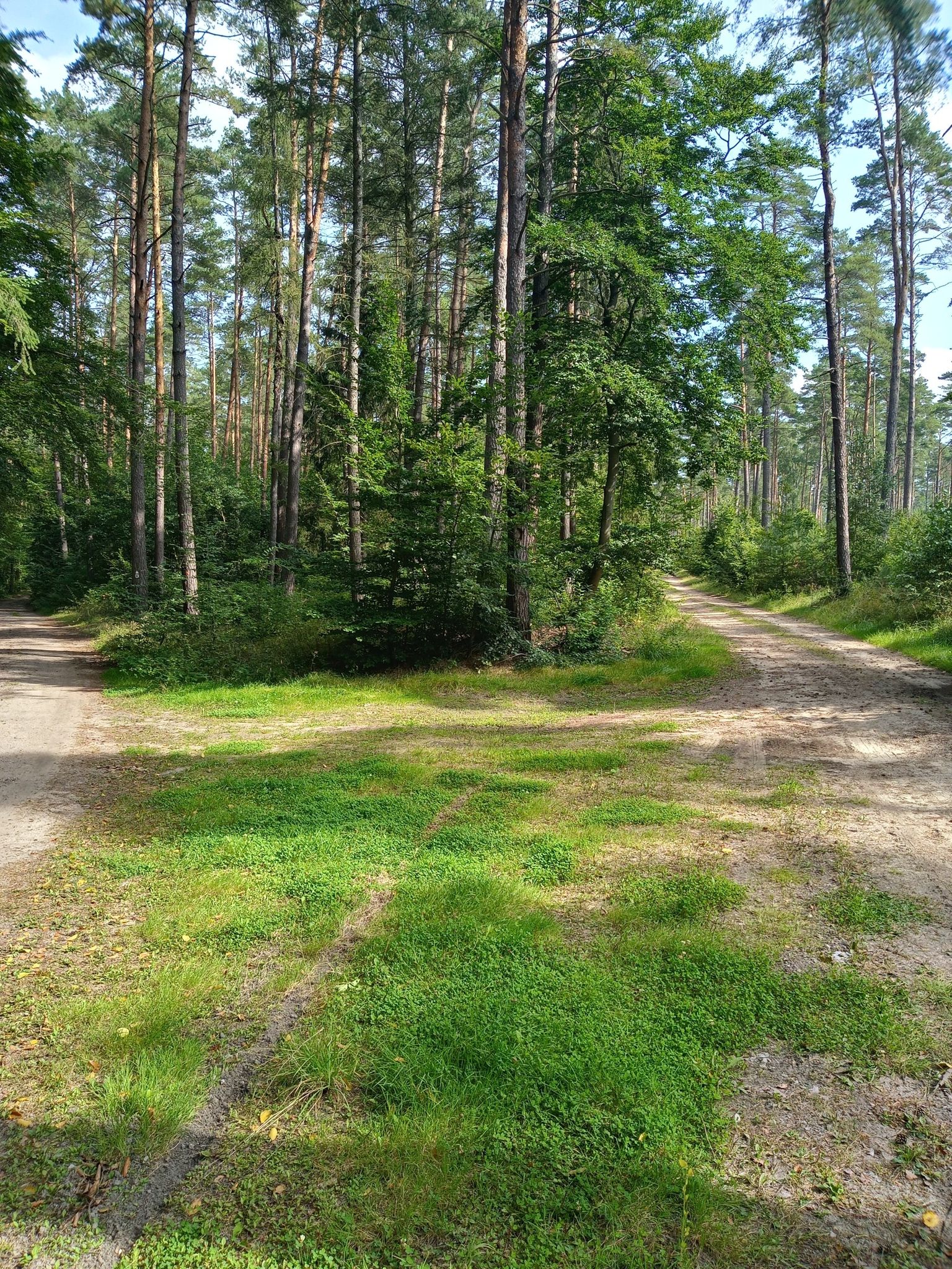 Links nach Küstrinchen, rechts nach Mahlendorf