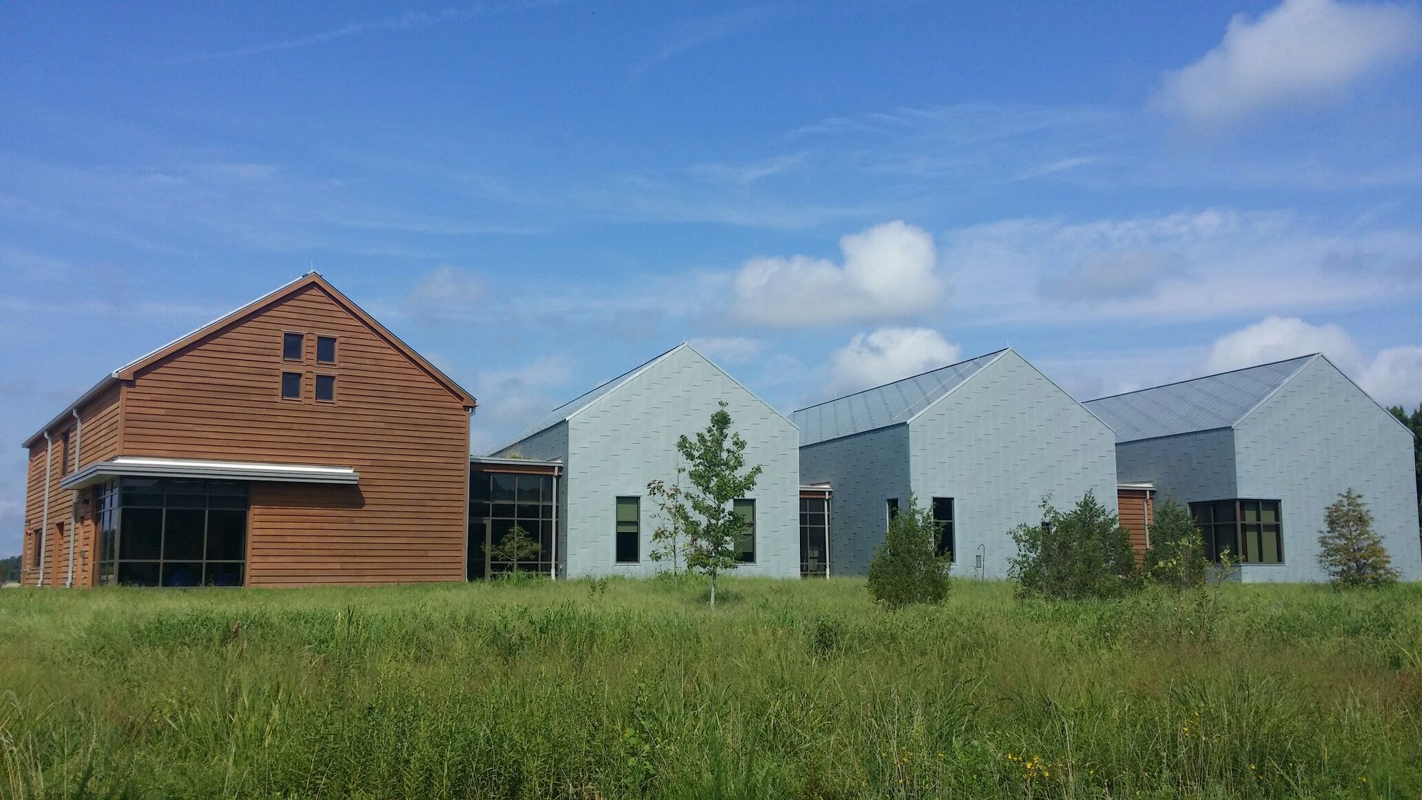 Modern buildings with wood and metal siding in a sunny, grassy field. - IRONMAN Loop