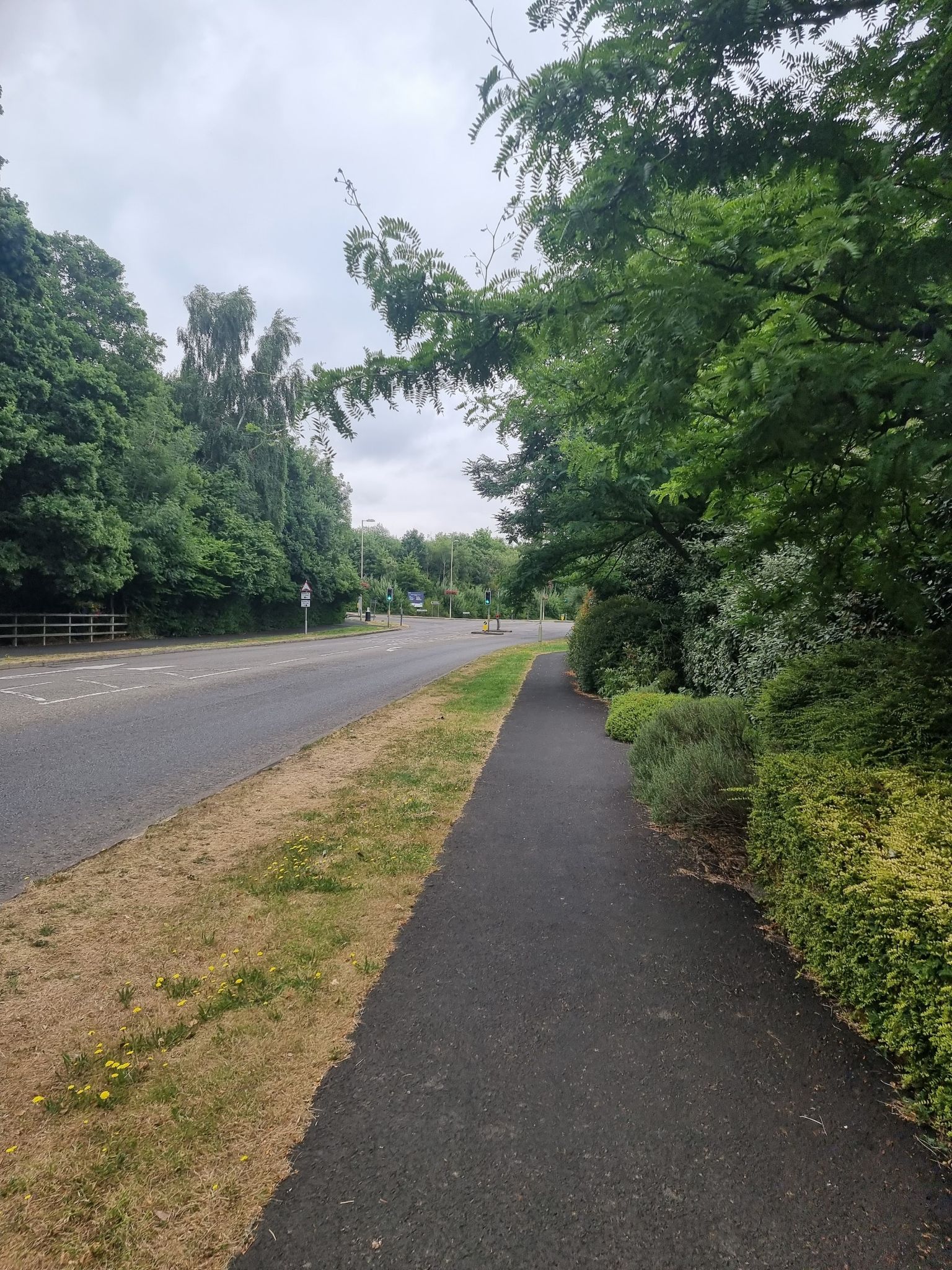 Knightwood road