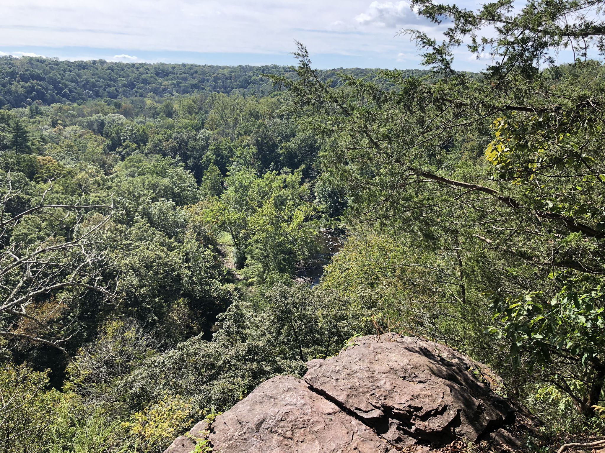 View from a rocky cliff overlooking a vast, verdant forest under a bright sky. - View of Tohickon Creek – Tohickon Valley Park loop from High Rocks Vista