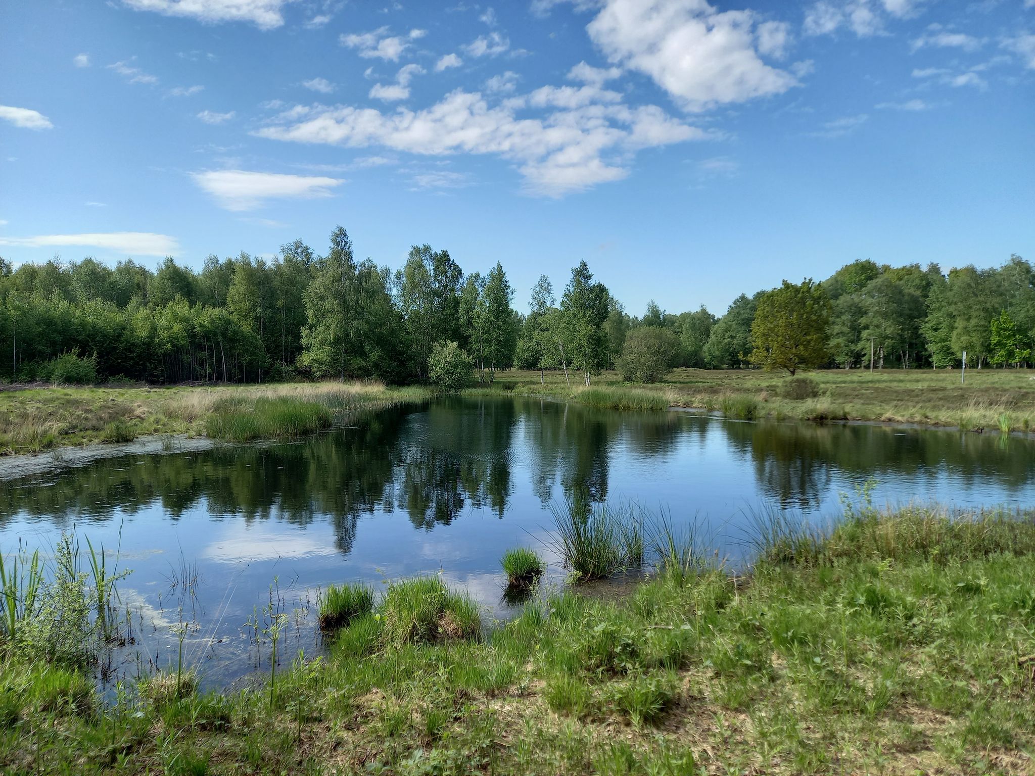 kleiner Teich