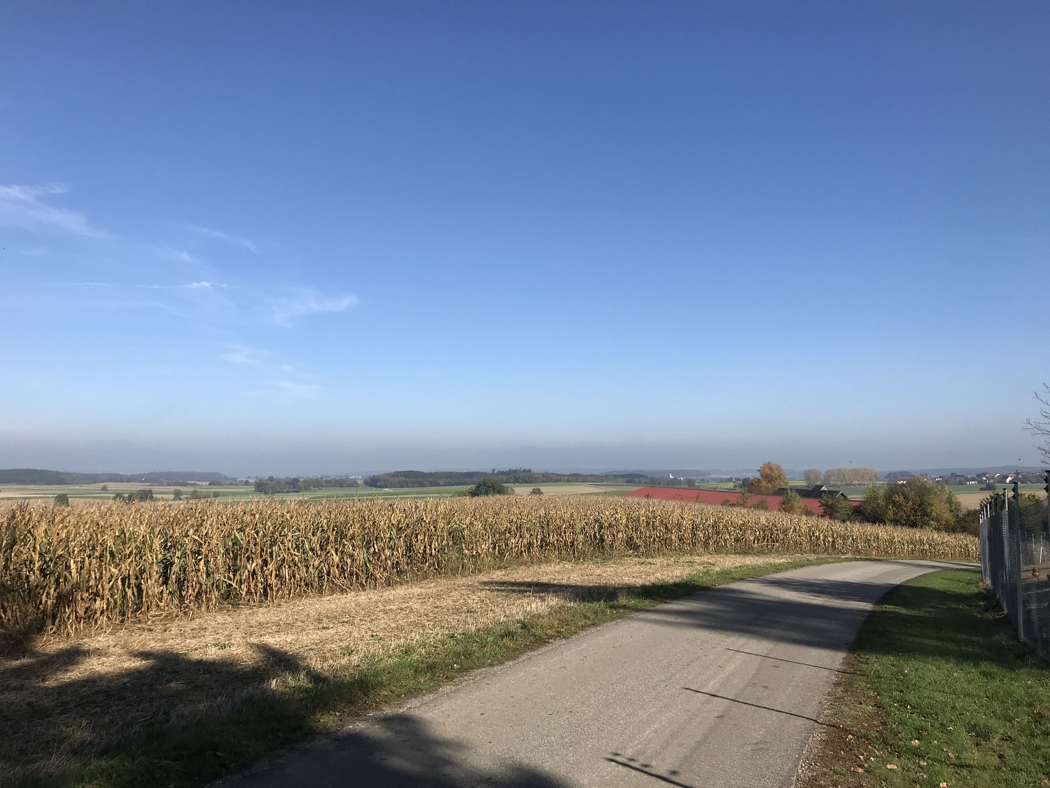 Aussicht vom Dettenberg