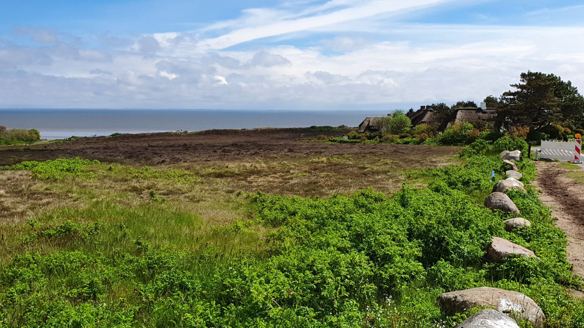 Naturschutzgebiet Braderuper Heide