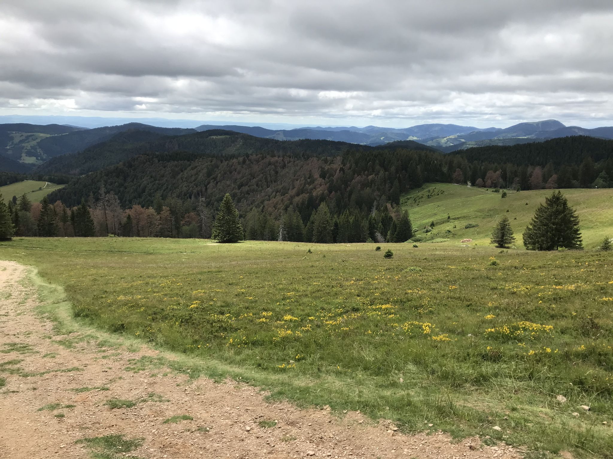 Blick vom Herzogenhorn zum Belchen