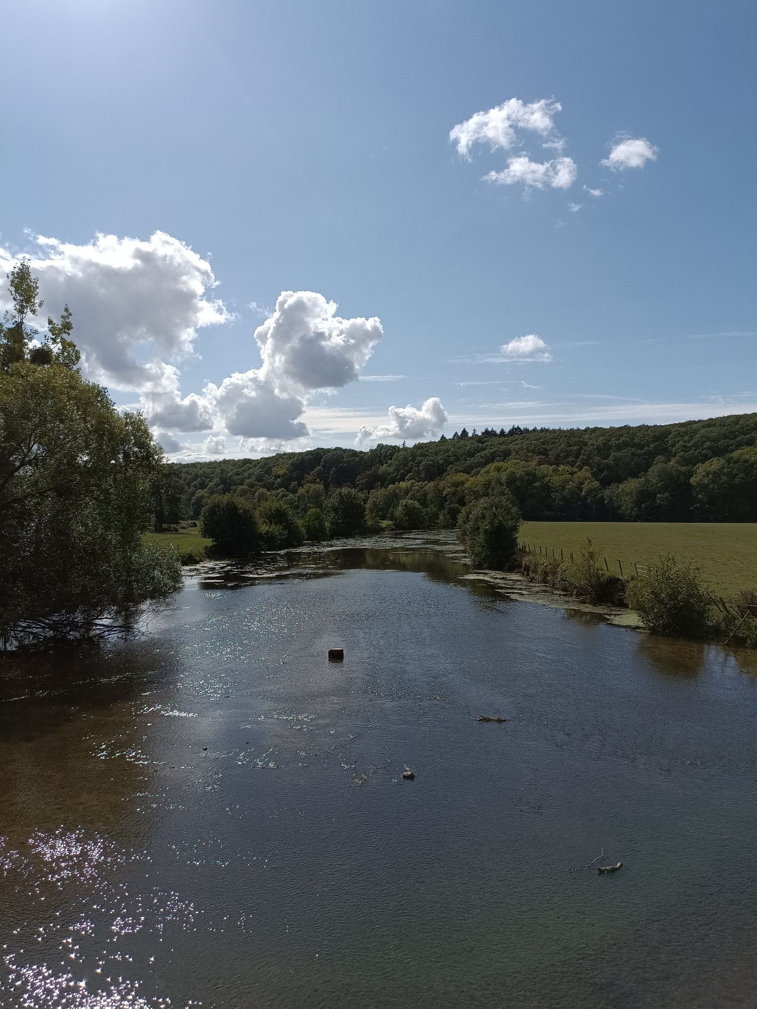 Le Loir