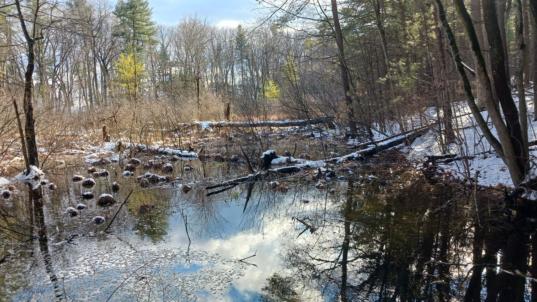 A partially frozen, dark pond reflecting a bright sky, surrounded by winter trees. - Billerica State Forest – Pump Track loop from Great Brook Farm State Park