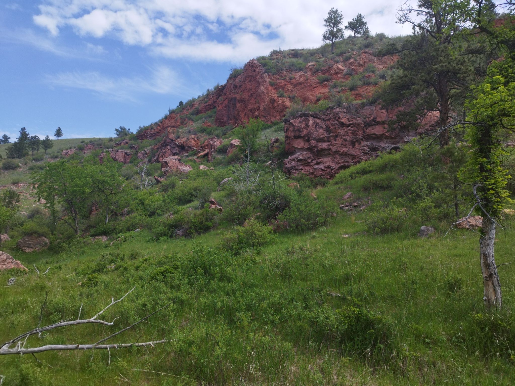 Green hillside with red rock formations and scattered trees under a blue sky. - Wind Cave Canyon Trail